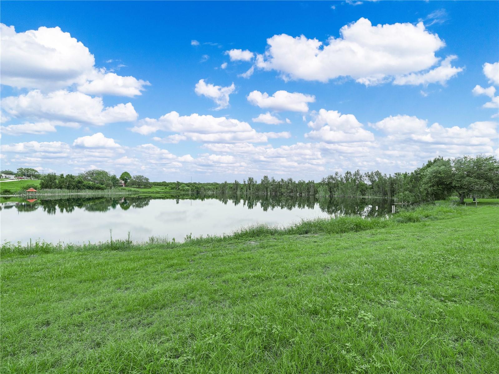 Image 16 of 19 For 539 Eucalyptus Road