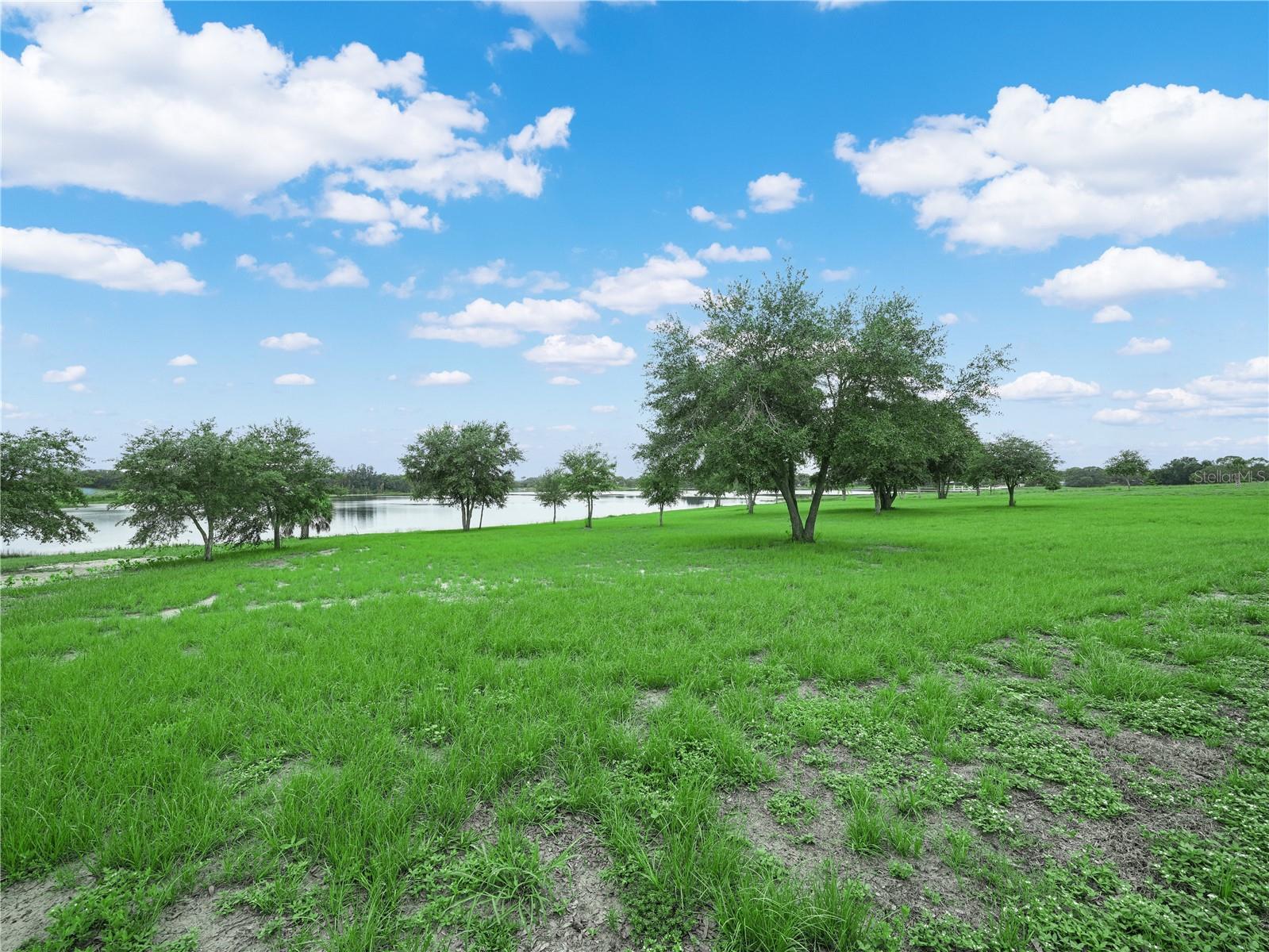 Image 17 of 19 For 539 Eucalyptus Road