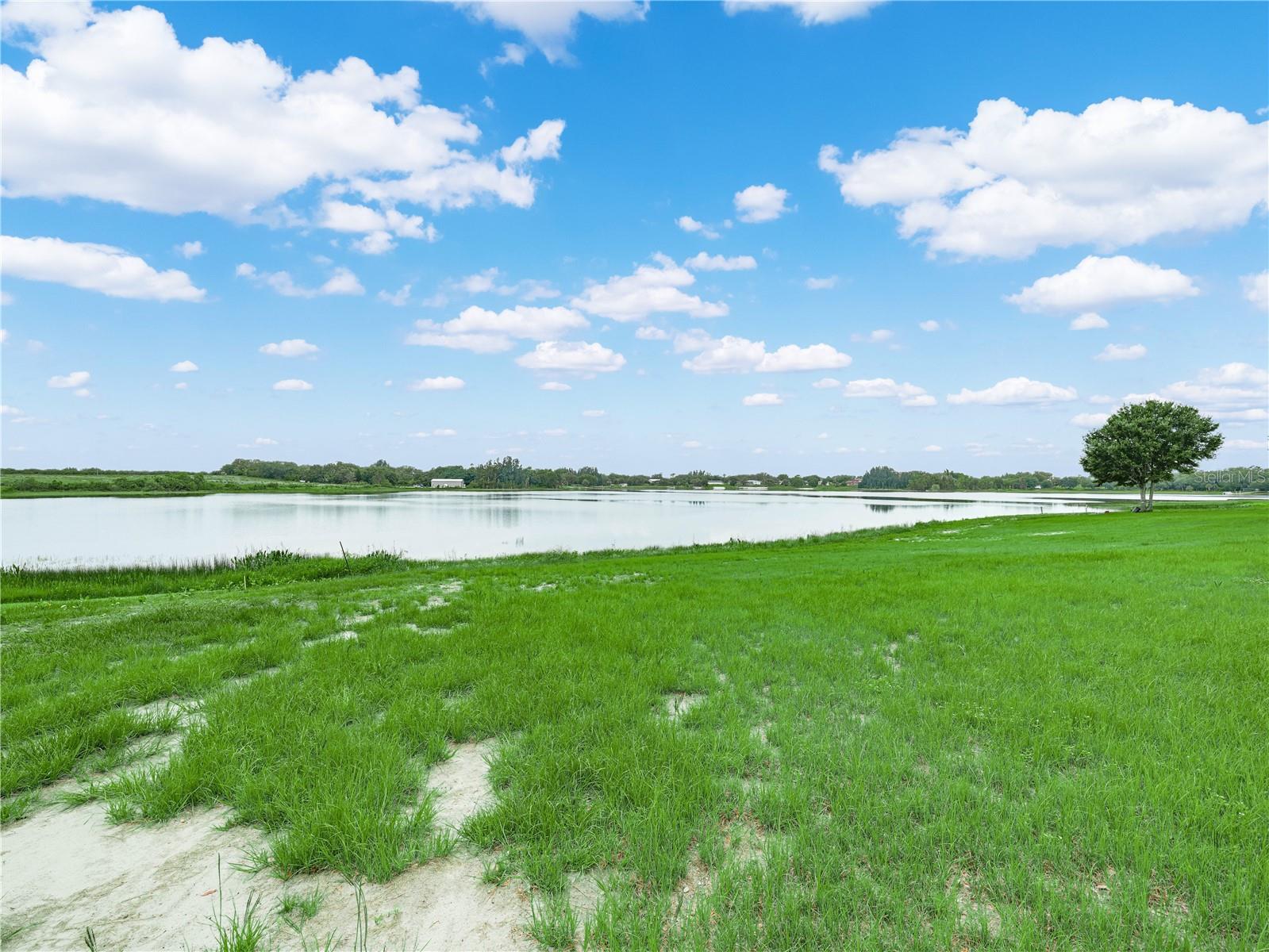 Image 18 of 19 For 539 Eucalyptus Road