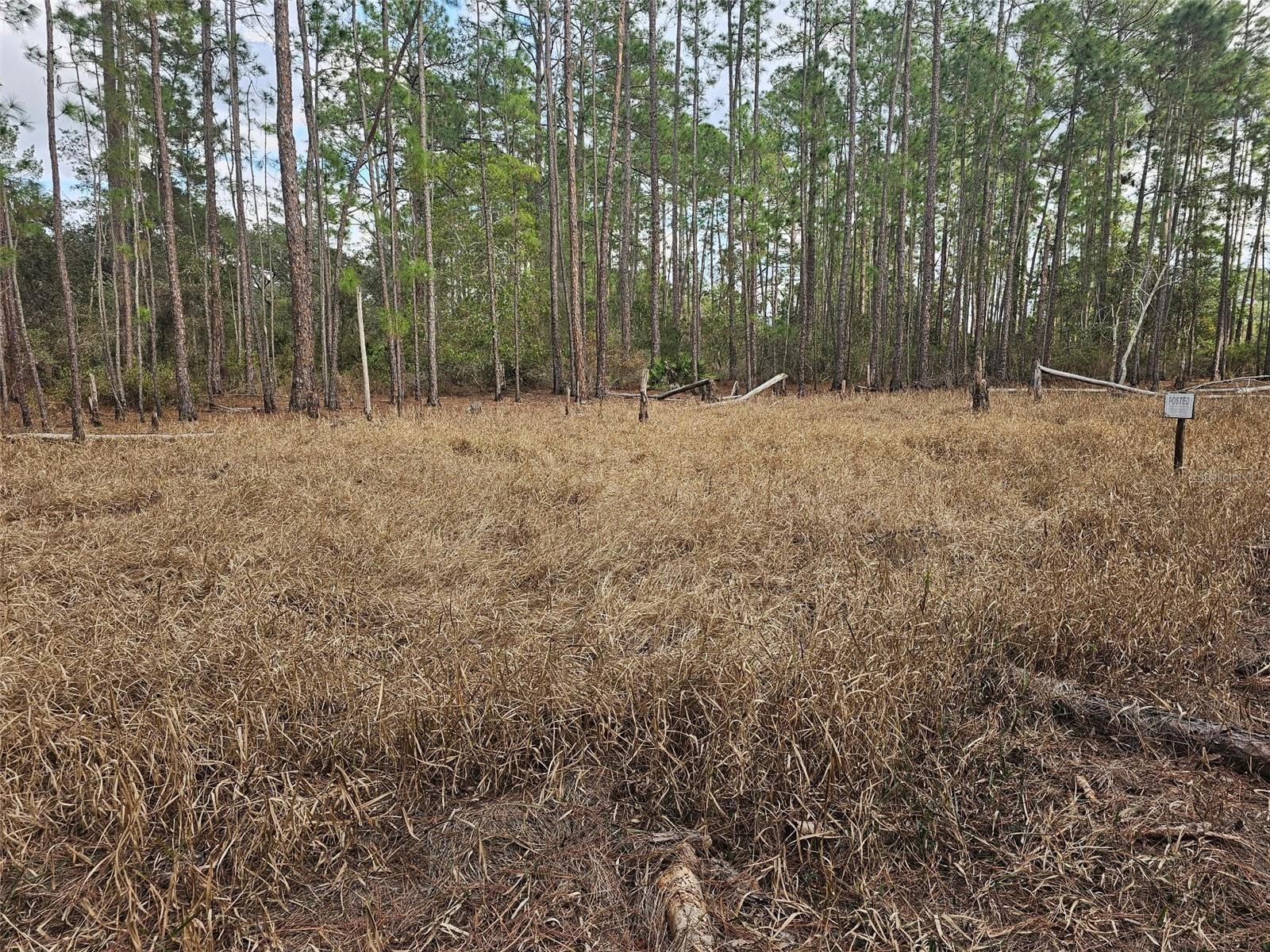 Image 2 of 10 For Chinaberry Street