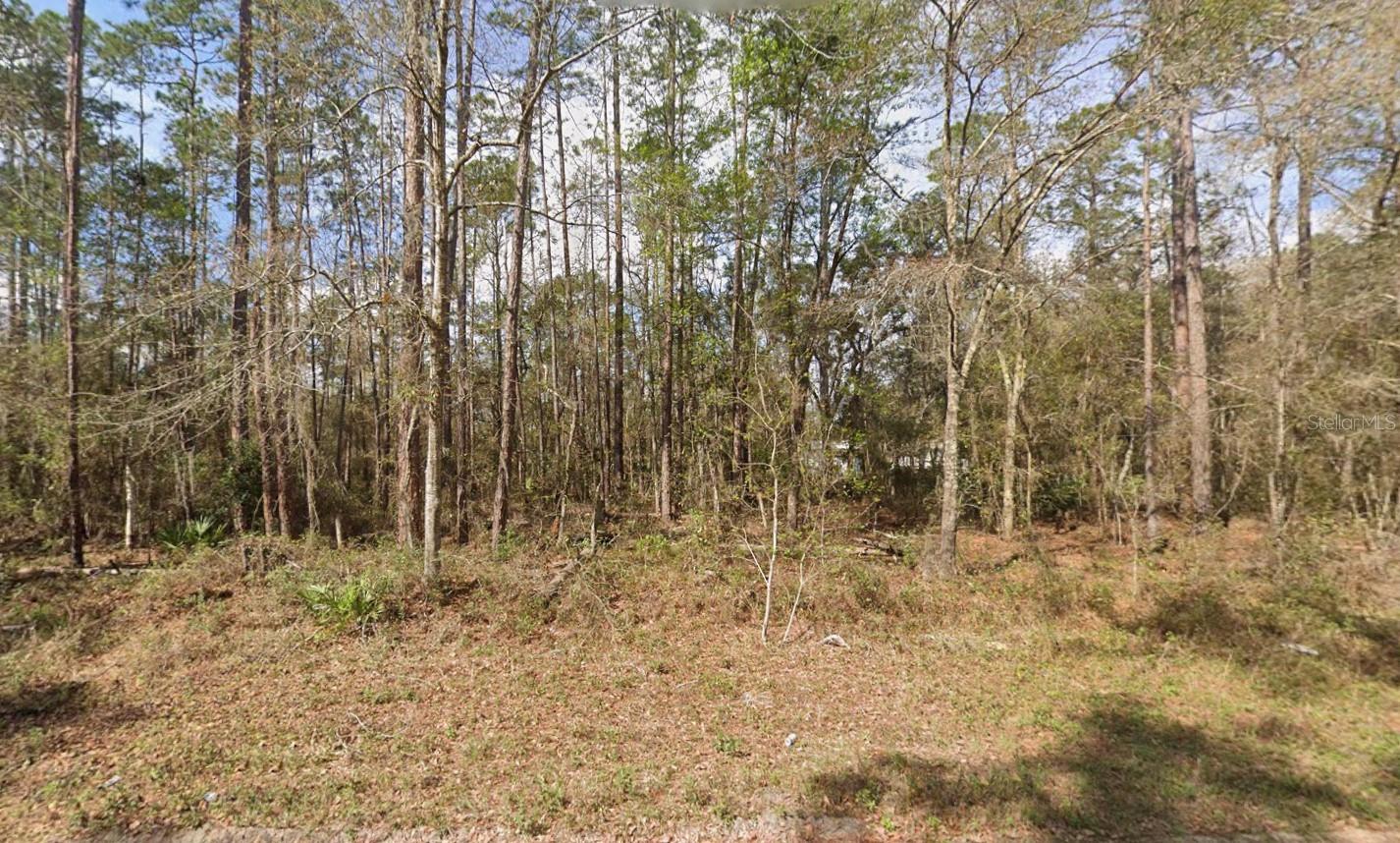 Details for Seminole Avenue, INTERLACHEN, FL 32148
