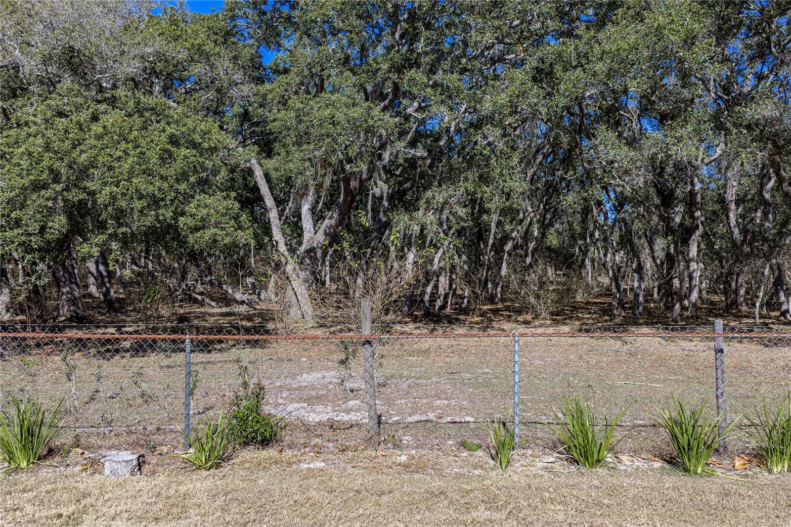 Image 58 of 60 For 3652 Hurlbut Circle