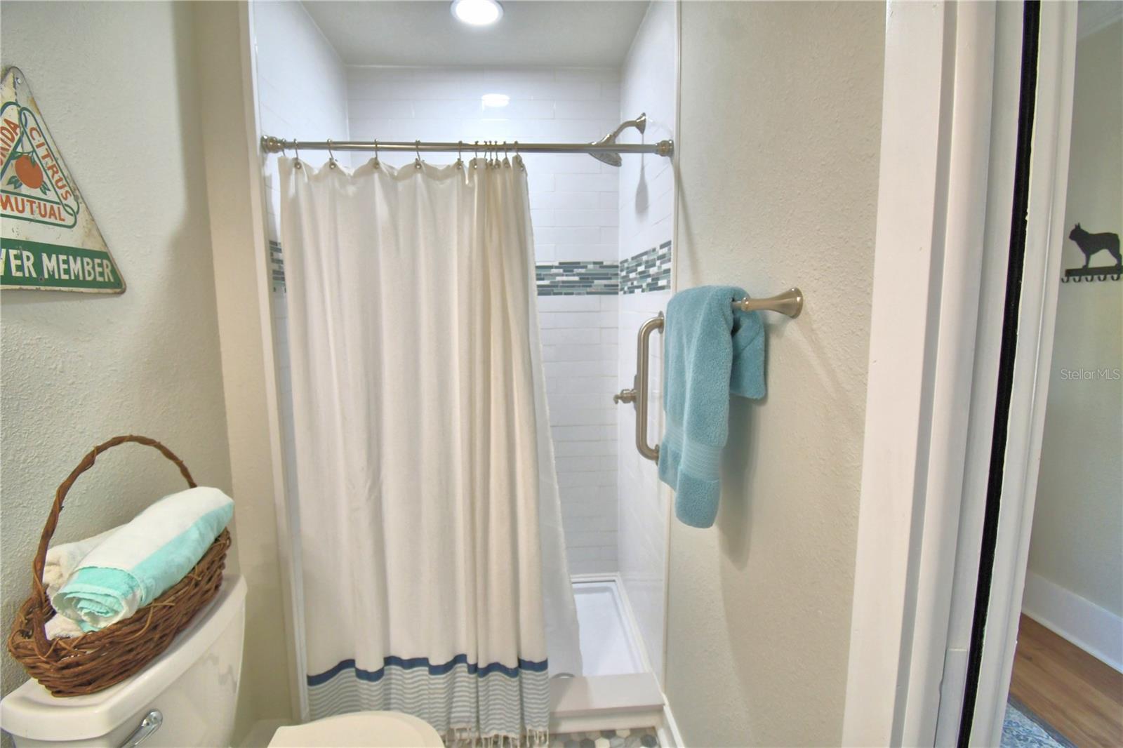 Listing photo id 20 for 1173 Lake Reedy Boulevard