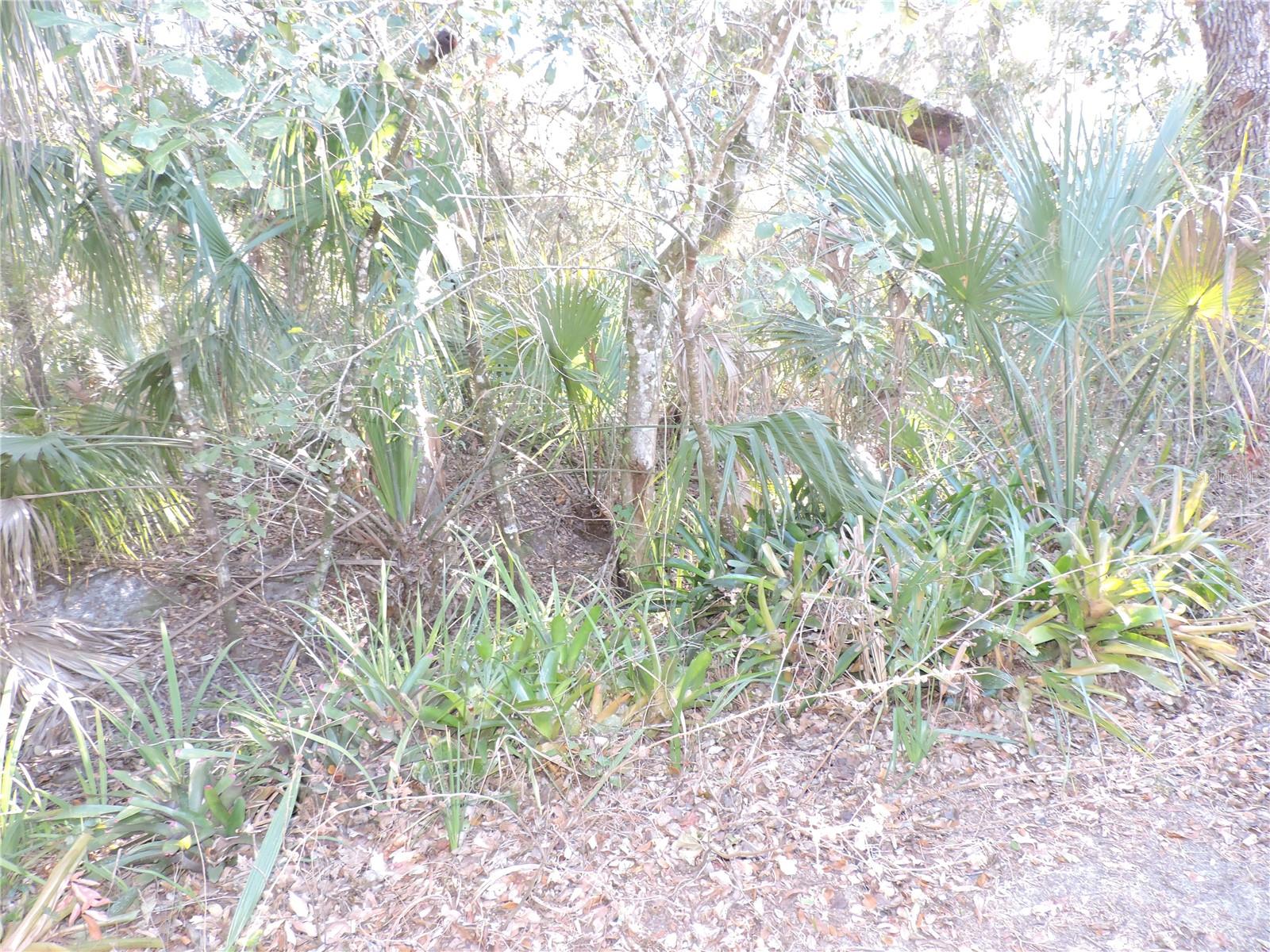 Image 35 of 35 For 1121 Big Oak Drive