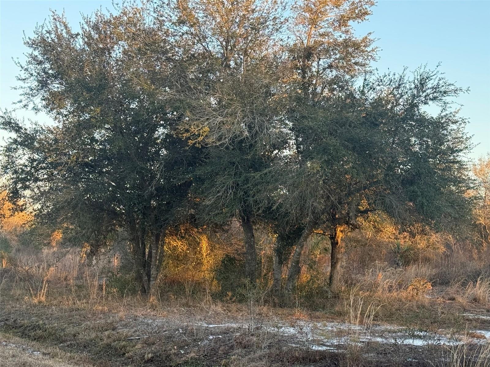 Image 2 of 15 For 18344 284th Street