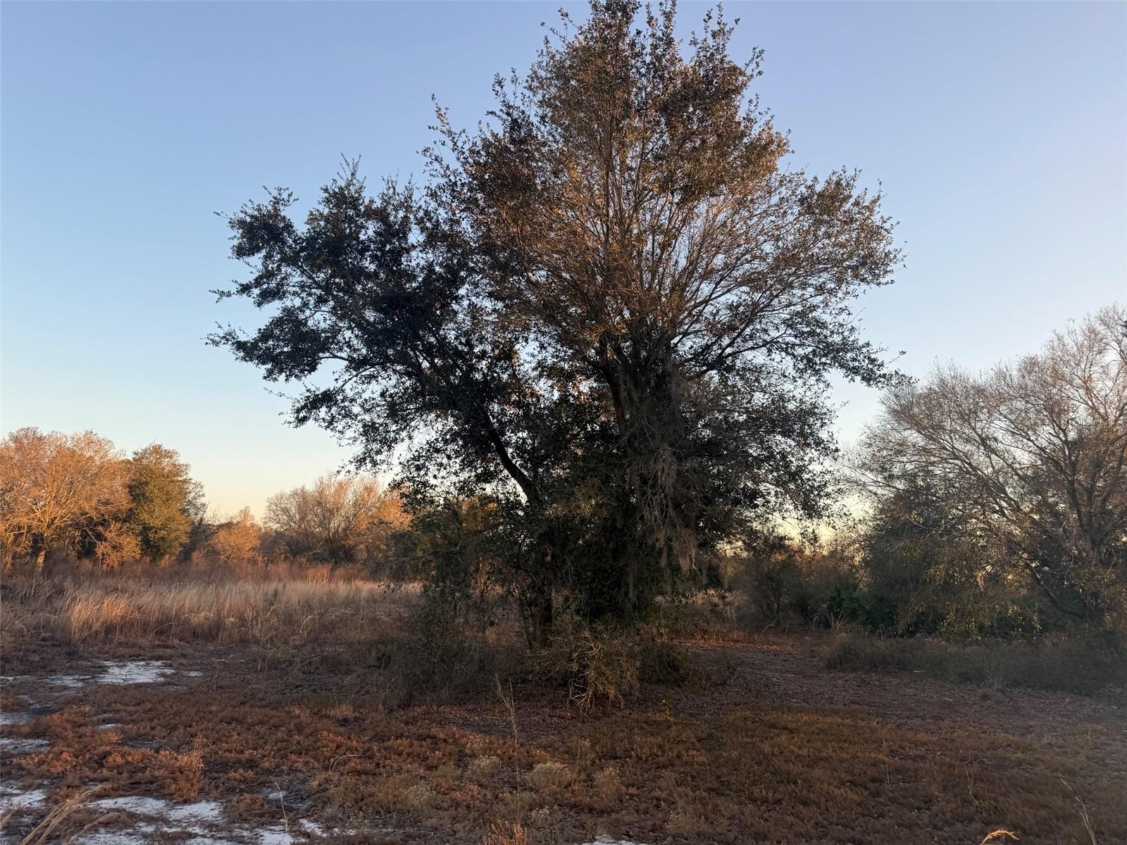 Image 6 of 15 For 18344 284th Street