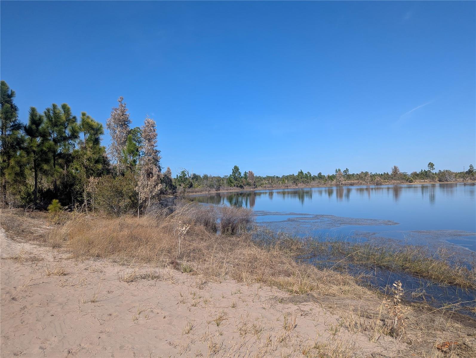 Image 3 of 29 For 0 Winter Haven Drive