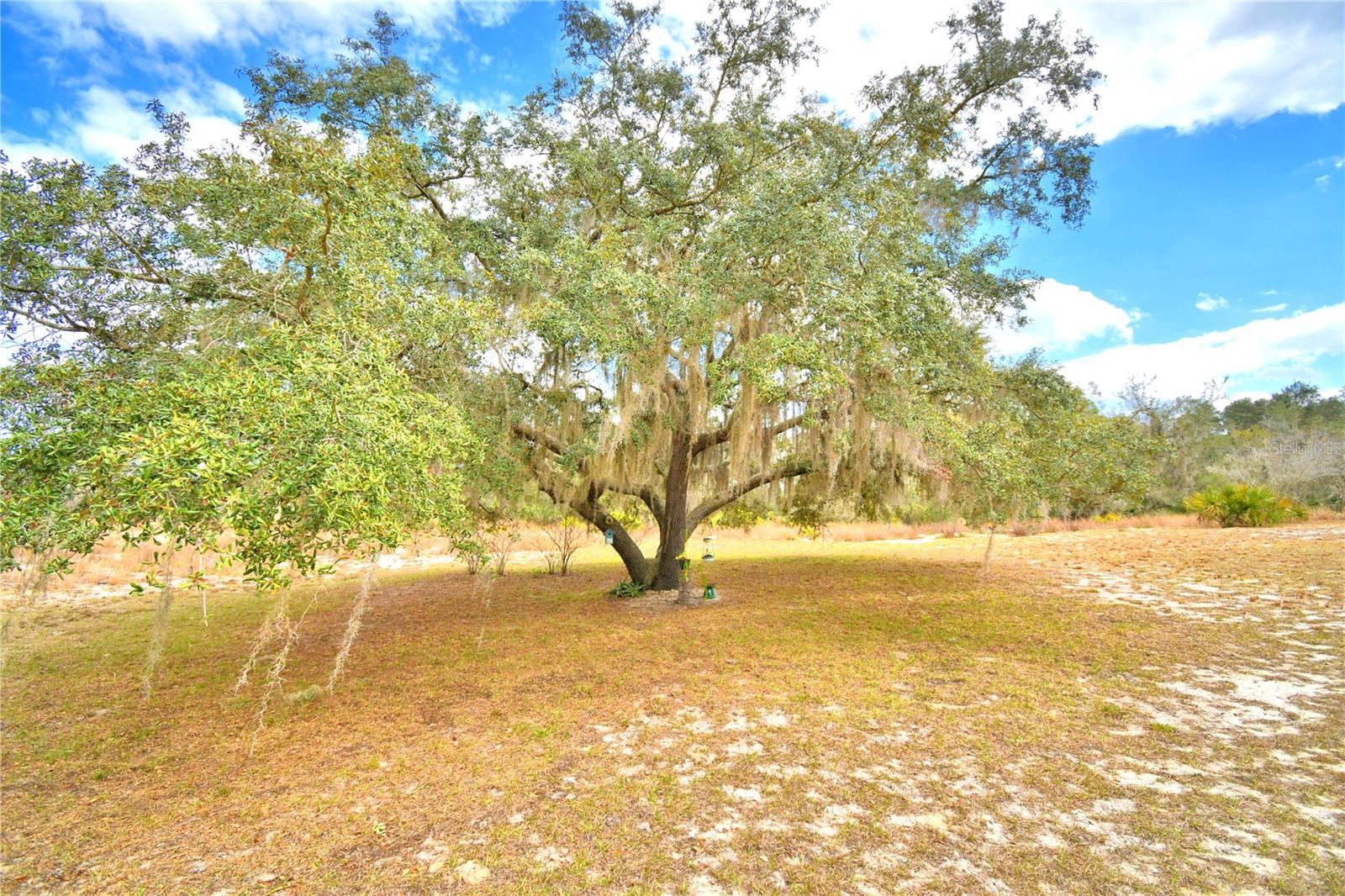 Image 44 of 48 For 23 Armadillo Road