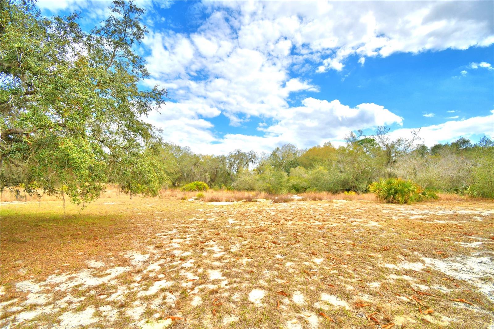 Image 45 of 48 For 23 Armadillo Road