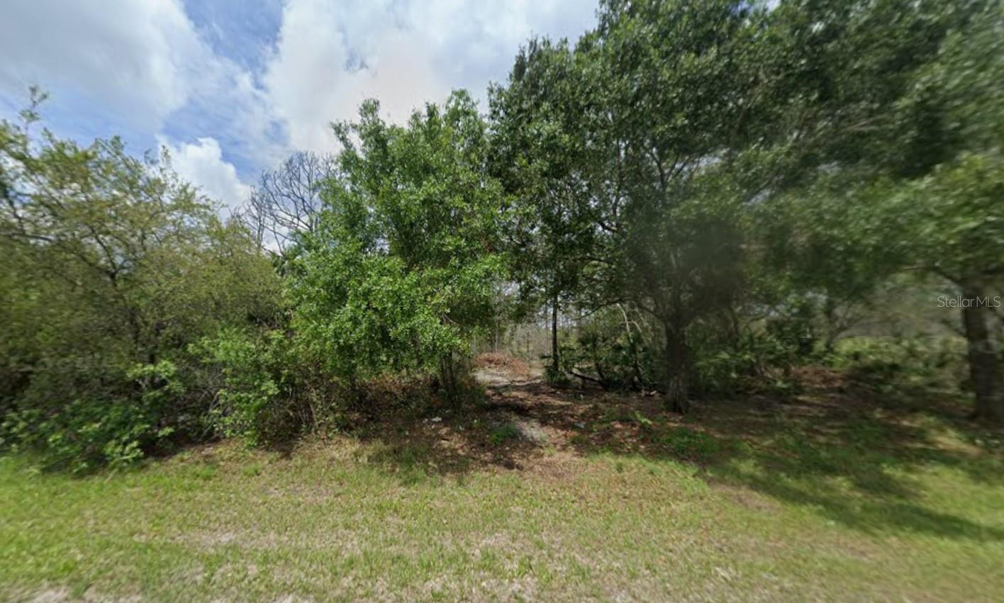 Image 3 of 7 For 869 Appaloosa Avenue