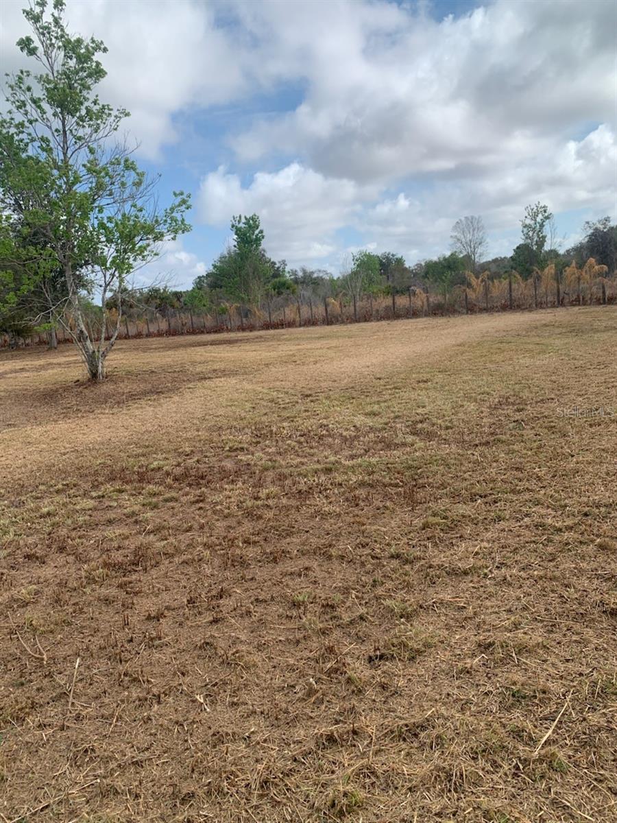 Details for 17231 268th Street, OKEECHOBEE, FL 34972