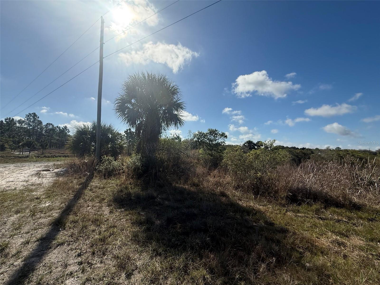 Image 6 of 14 For 15212 310th Street