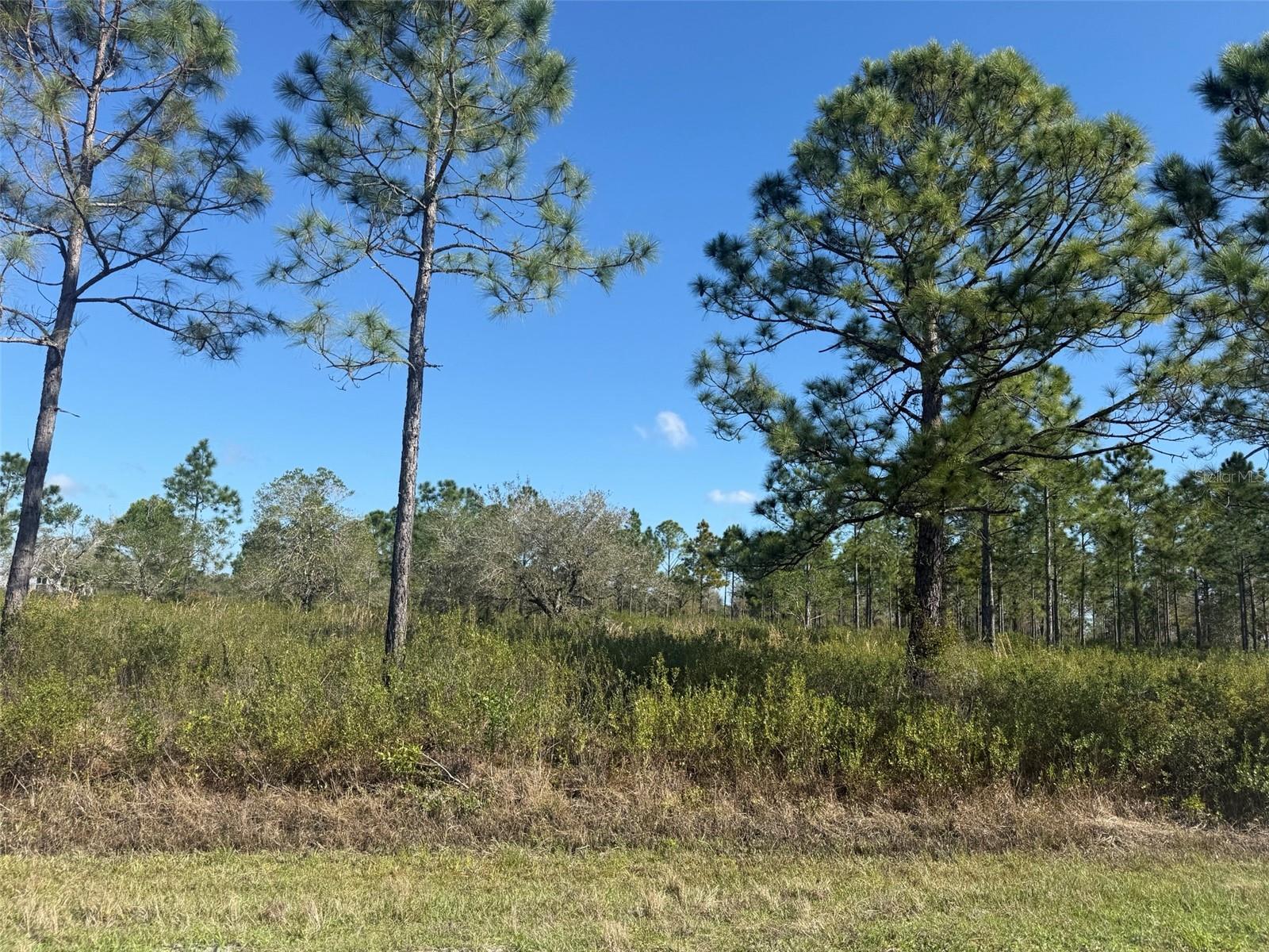 Details for 15942 312th Street, OKEECHOBEE, FL 34972