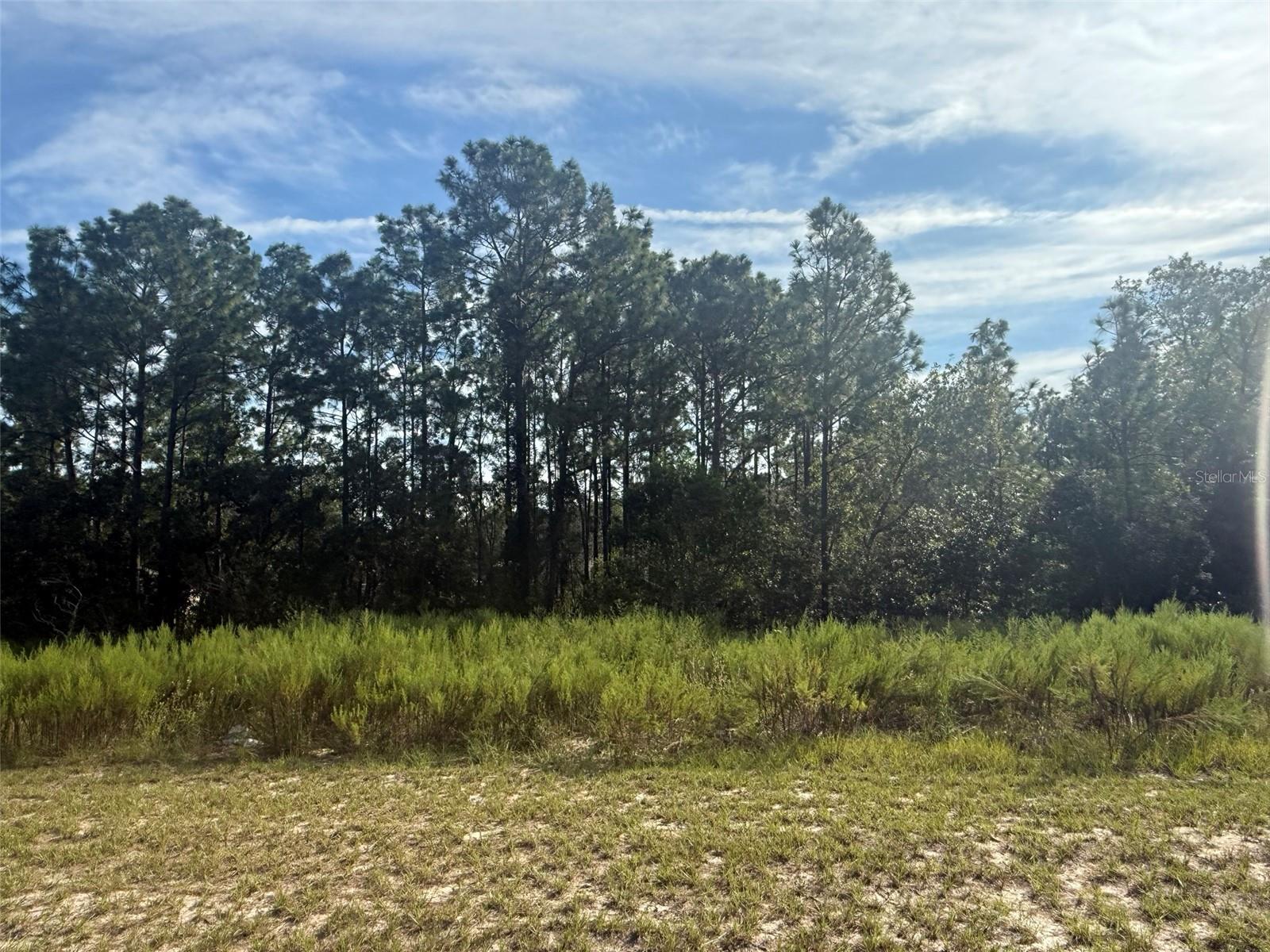 Details for Tbd 135th Street Road, OCALA, FL 34473