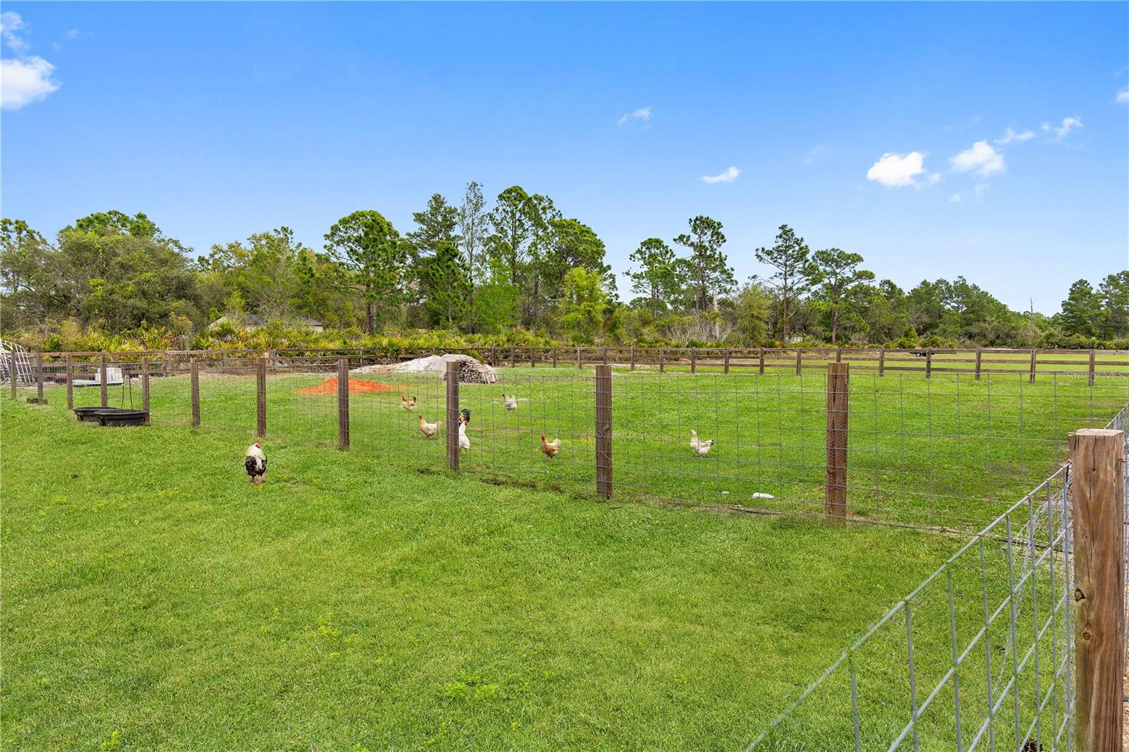 Image 58 of 62 For 7813 Camp Mack Road