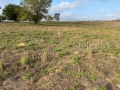 Image 11 of 11 For Muncie Road