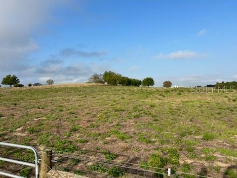 Image 5 of 11 For Muncie Road