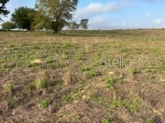 Image 8 of 11 For Muncie Road