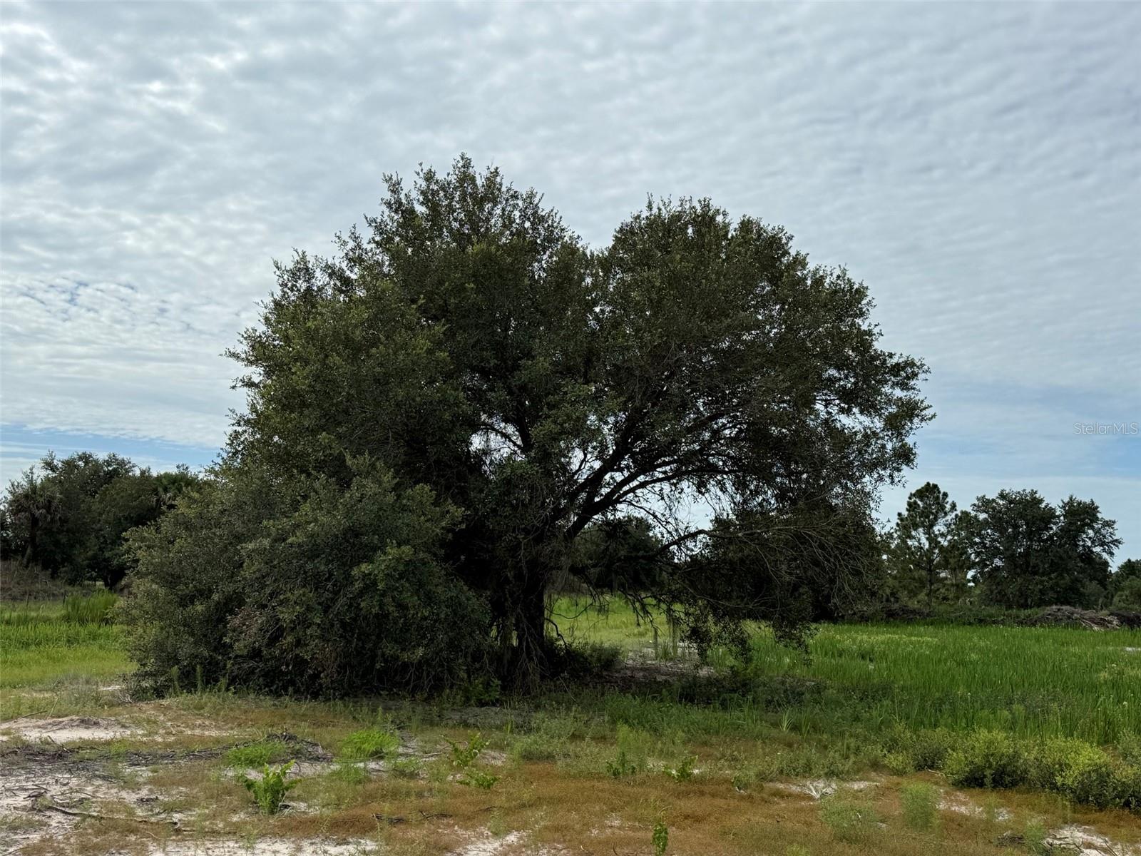 Image 2 of 10 For 16814 296th Street