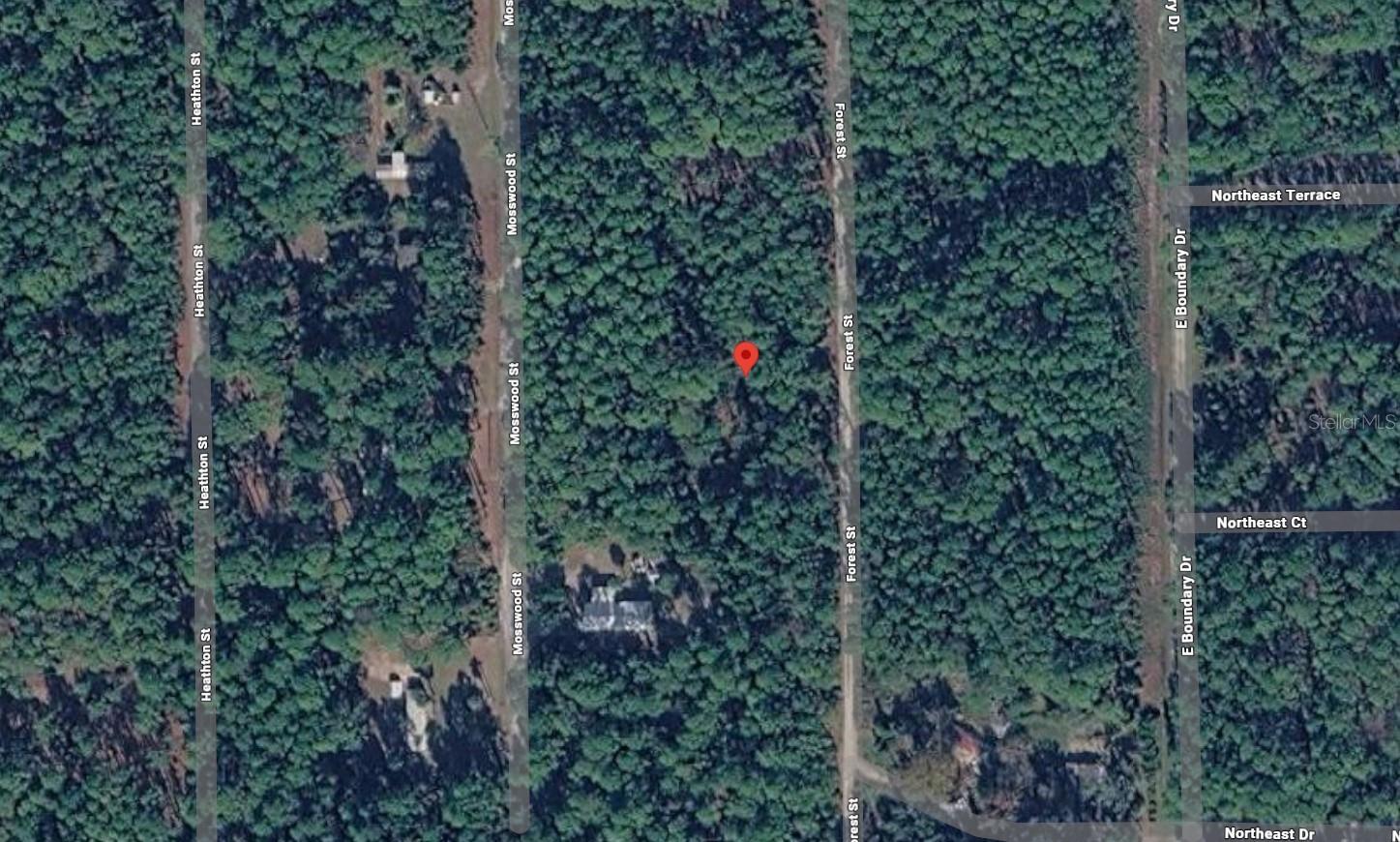 Listing Details for 143 Forest Street, GEORGETOWN, FL 32139