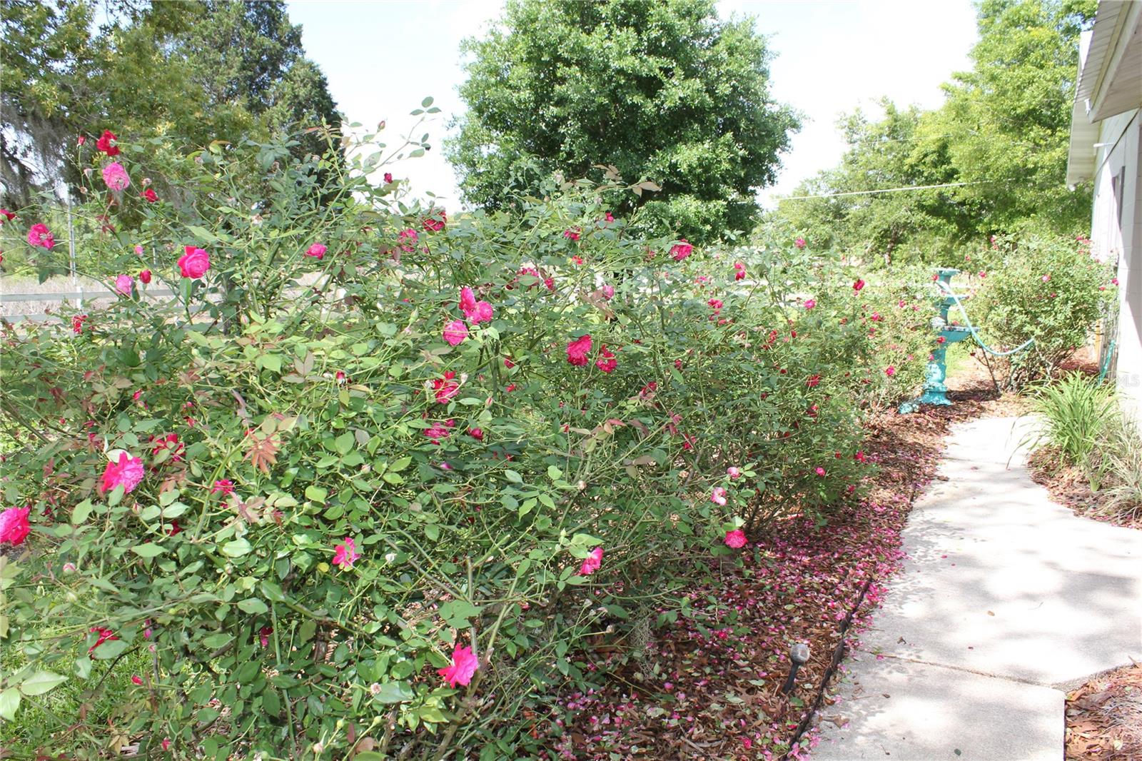 Image 19 of 98 For 8225 Wakeford Road