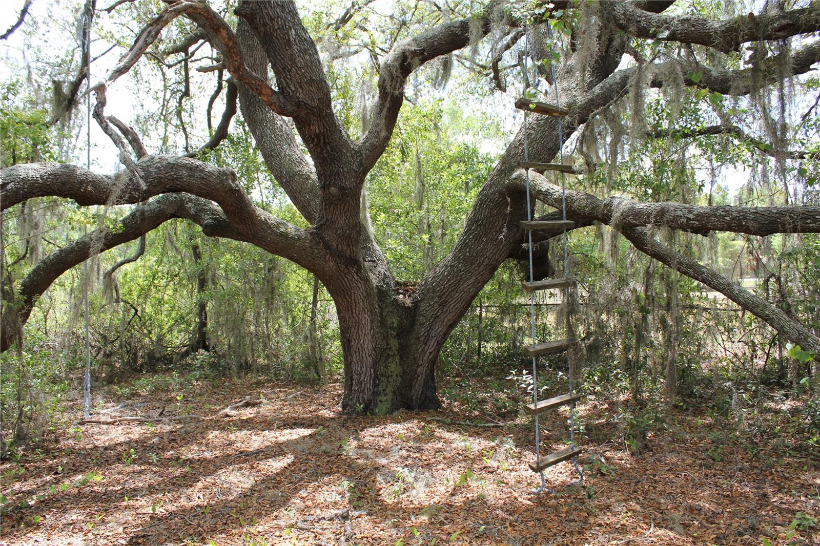 Image 95 of 98 For 8225 Wakeford Road
