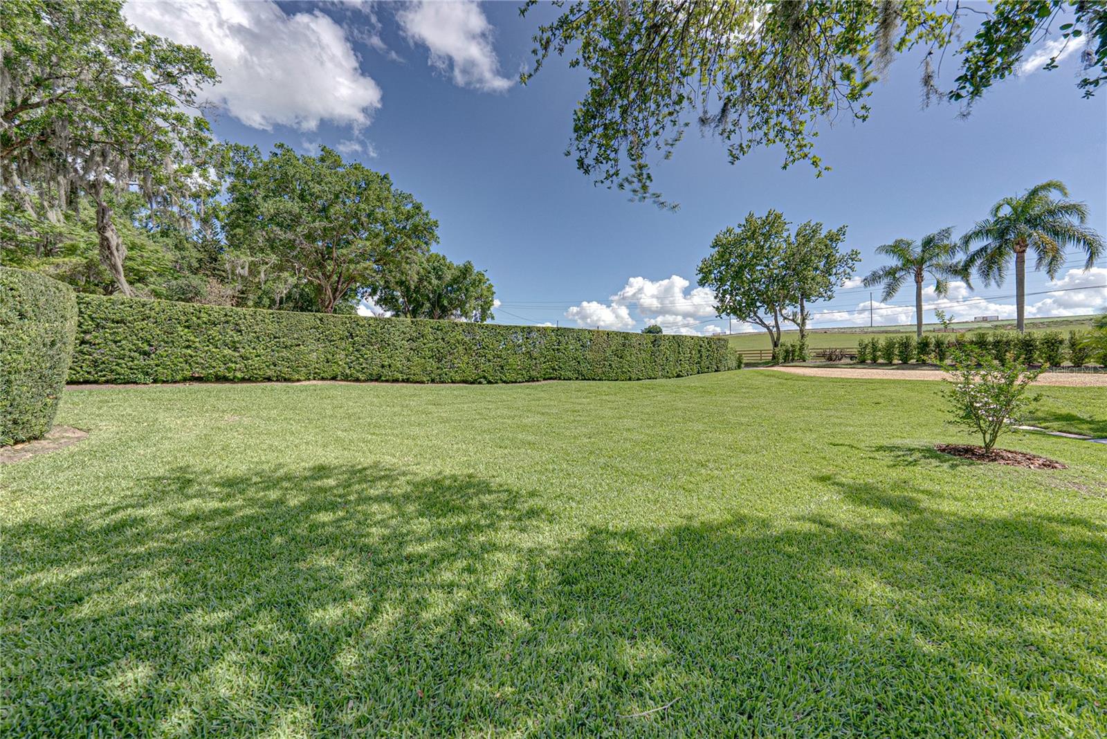 Image 63 of 96 For 1075 Cody Cove Road