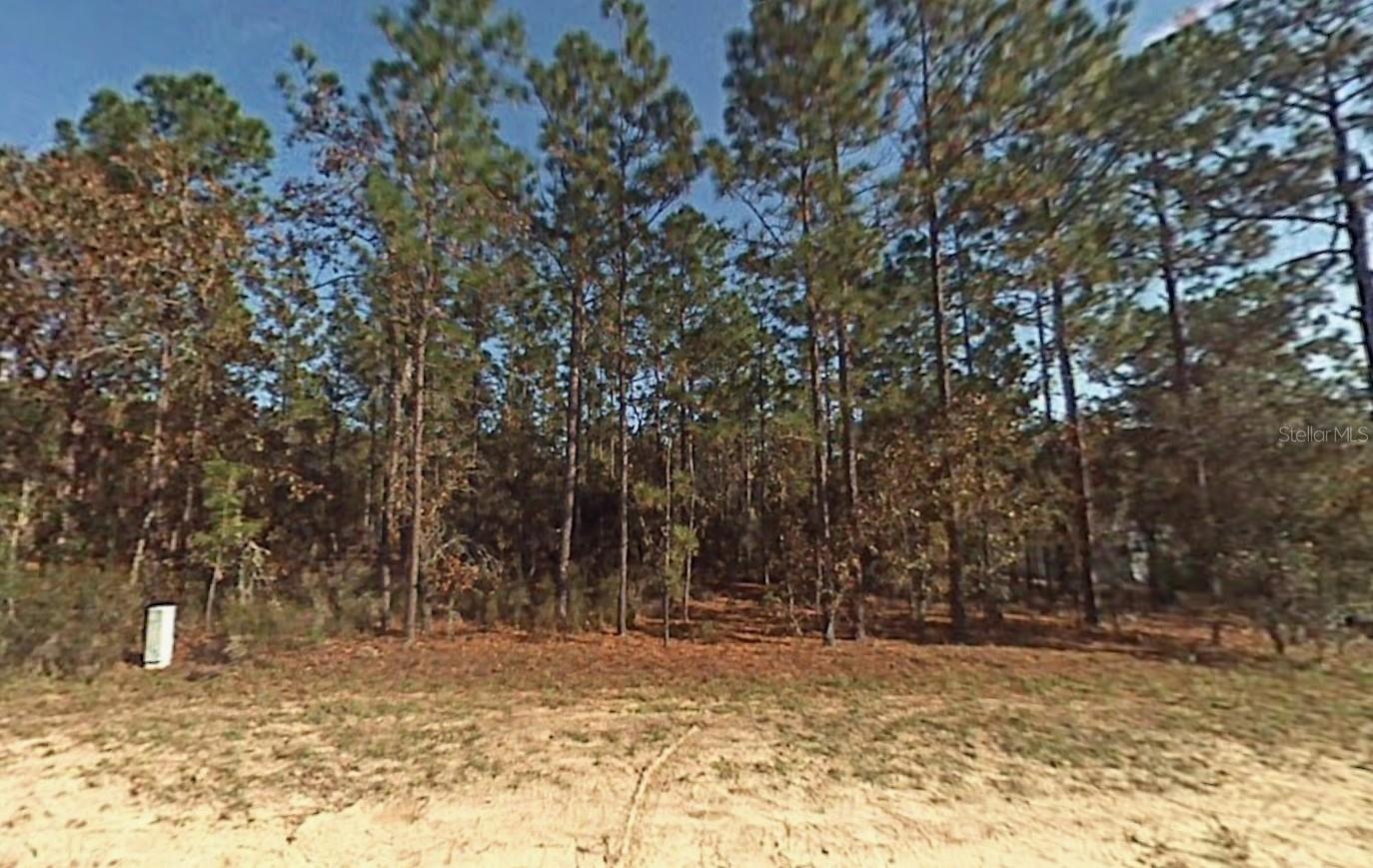 Details for Lot 5 166th Court Road, DUNNELLON, FL 34432