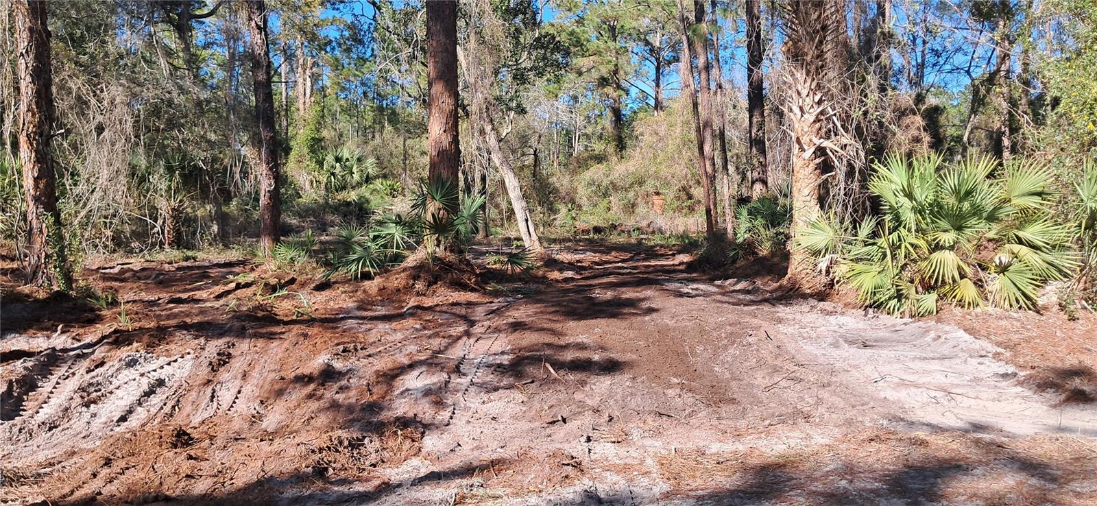 Details for 120 Gardenia Avenue, GEORGETOWN, FL 32139