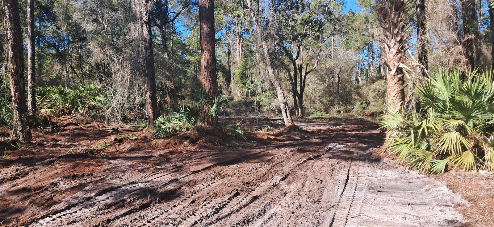 Image 2 of 6 For 120 Gardenia Avenue