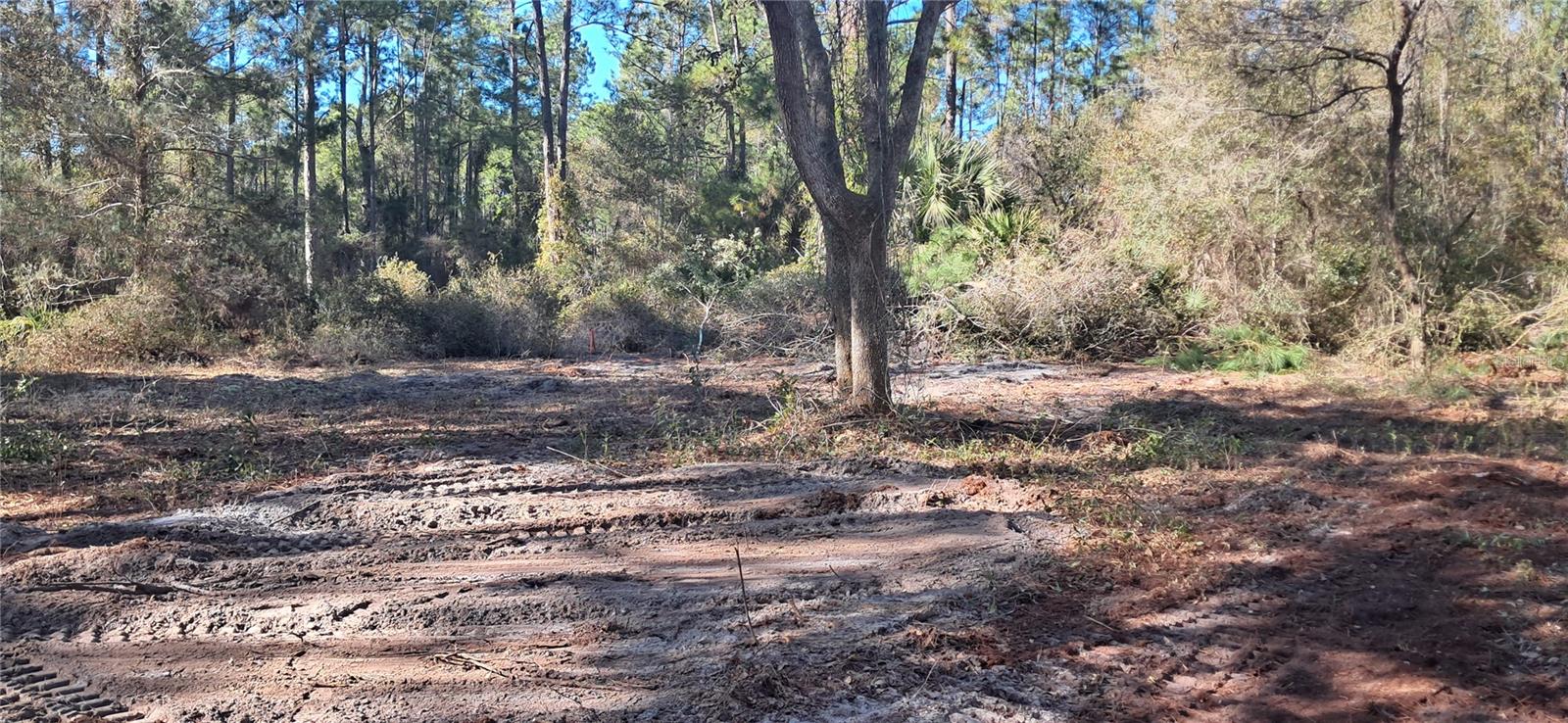 Image 3 of 6 For 120 Gardenia Avenue