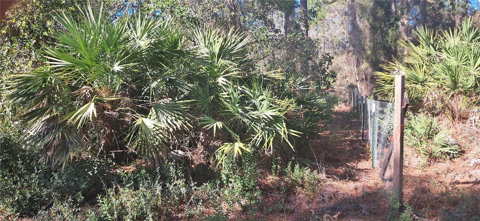 Image 4 of 6 For 120 Gardenia Avenue