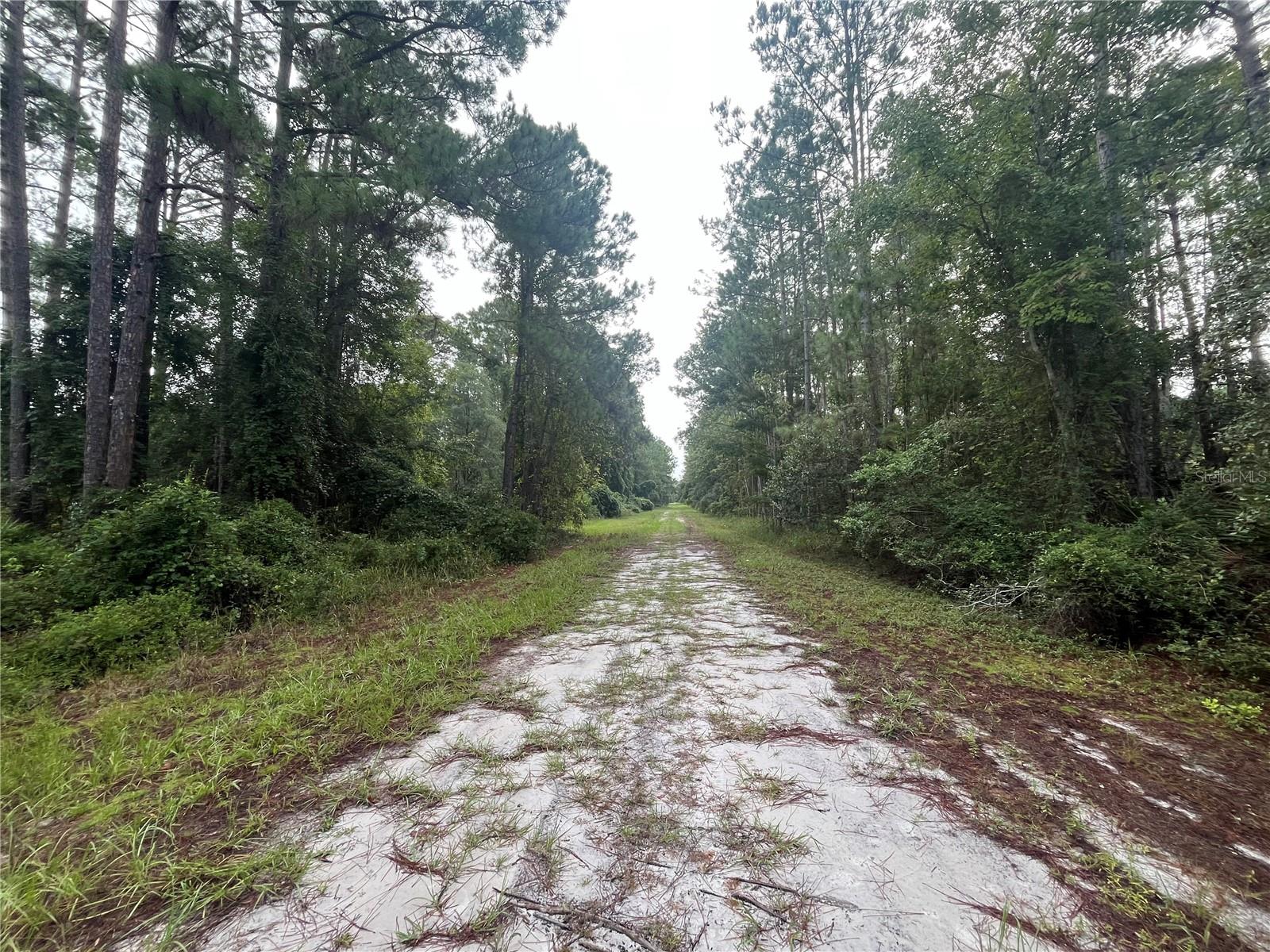 Image 5 of 6 For 120 Gardenia Avenue