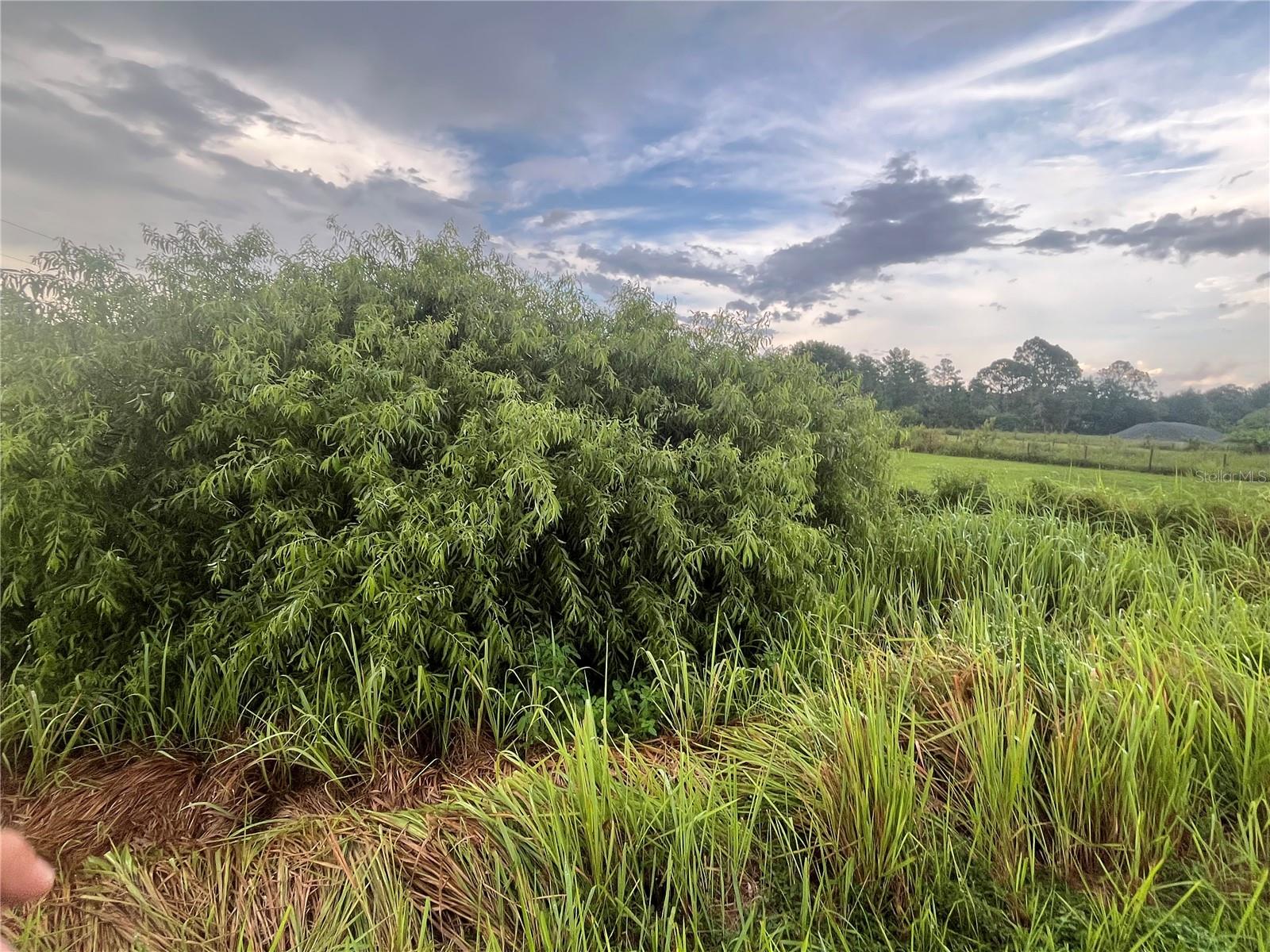 Image 6 of 8 For E State Rd 60