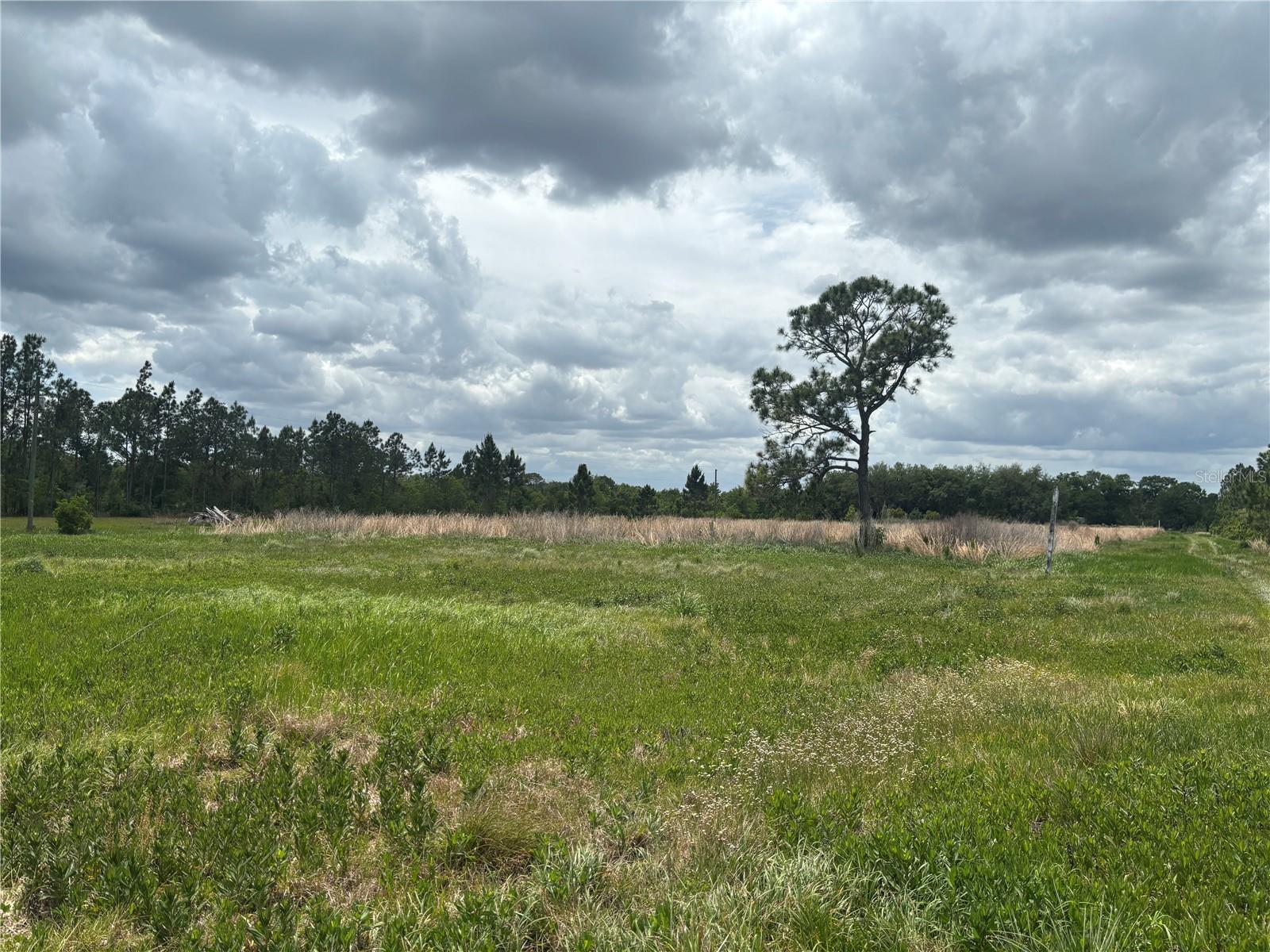 Image 9 of 11 For 1700 Frostproof Road