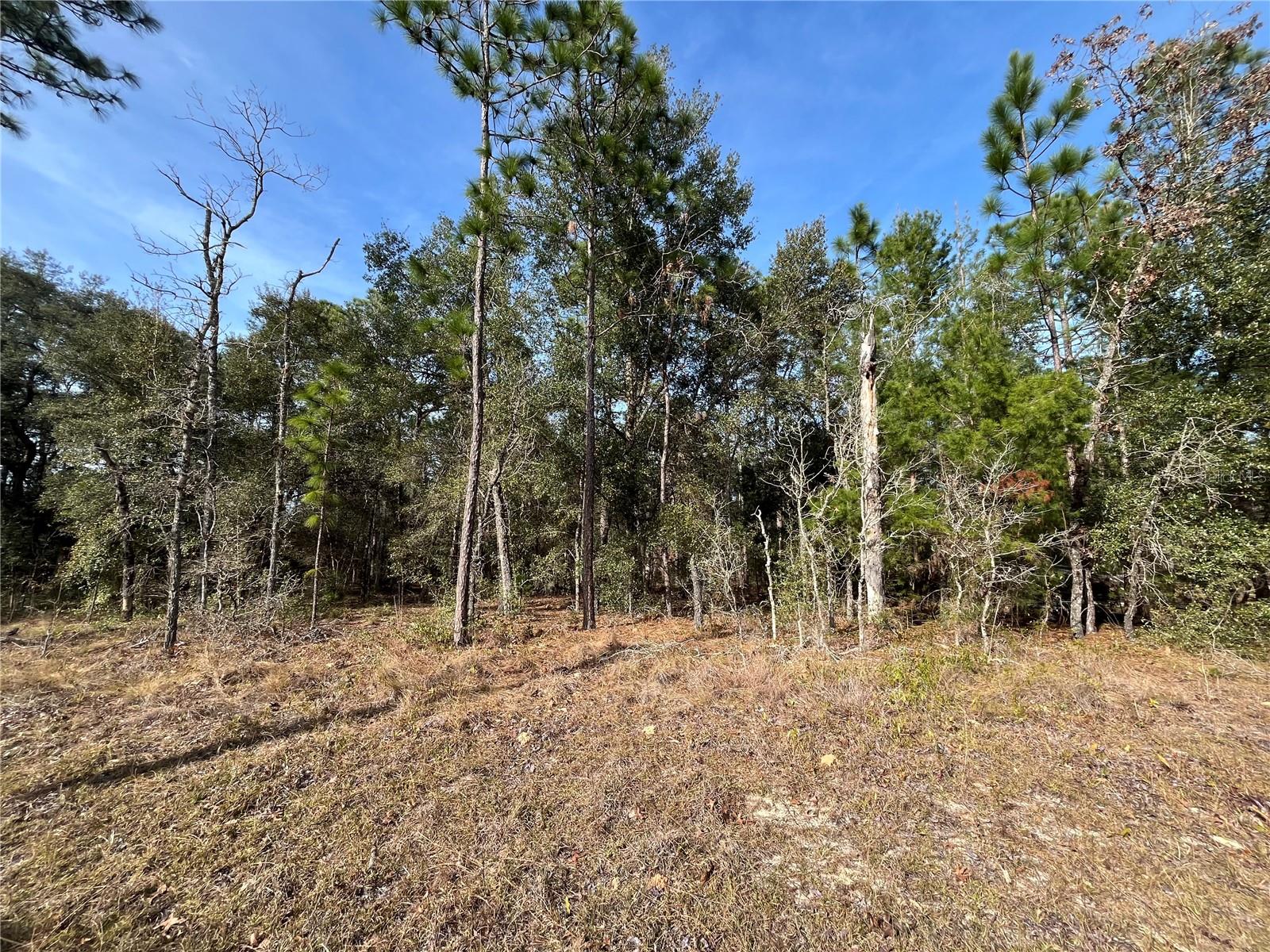 Details for 6168 Emory Avenue, KEYSTONE HEIGHTS, FL 32656