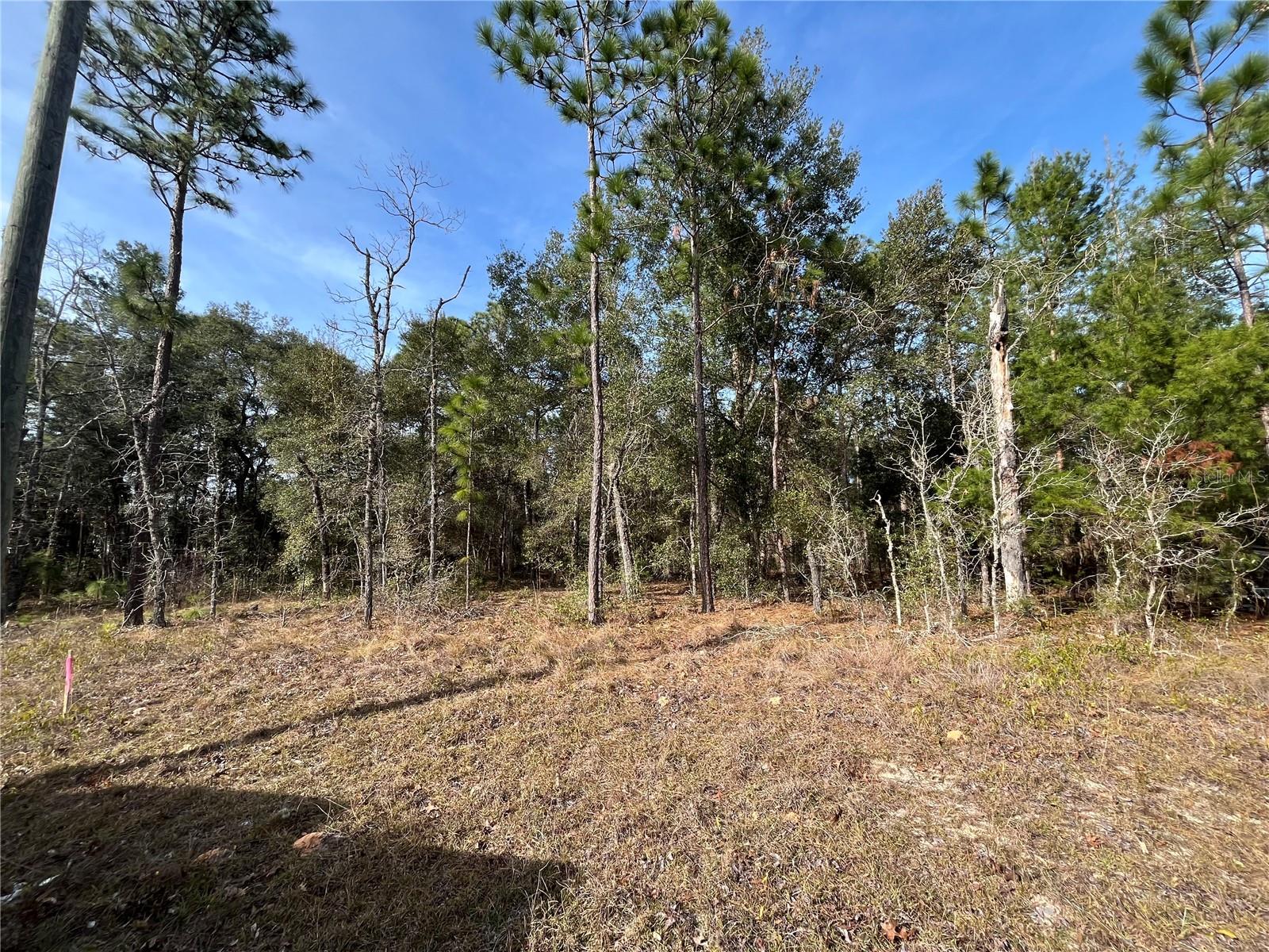 Image 2 of 10 For 6168 Emory Avenue