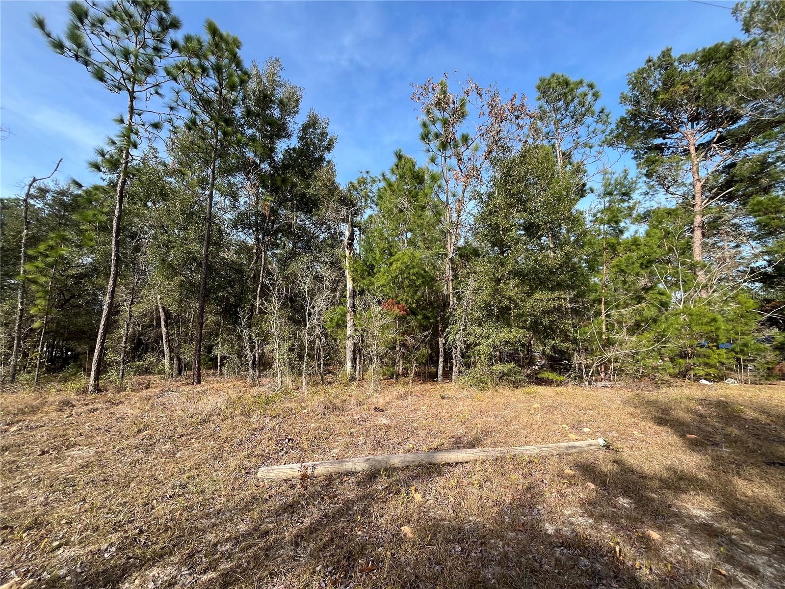 Image 3 of 10 For 6168 Emory Avenue