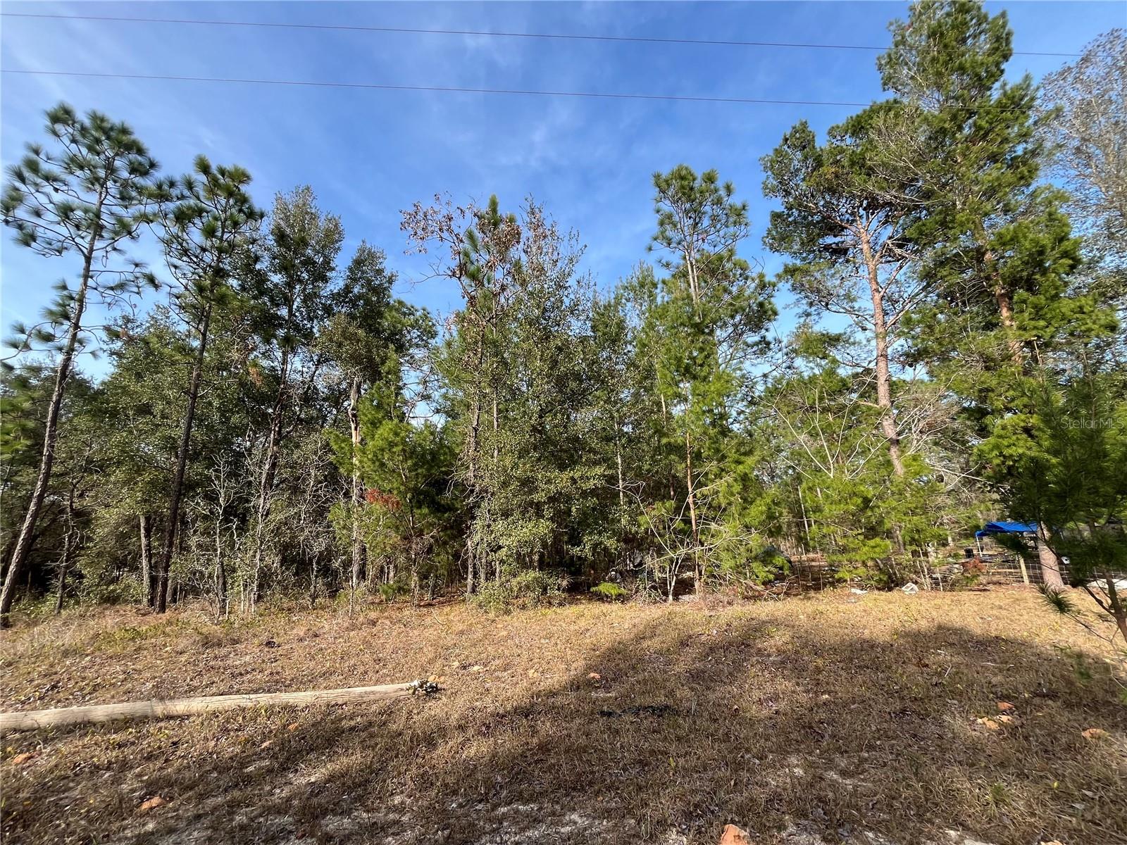 Image 6 of 10 For 6168 Emory Avenue