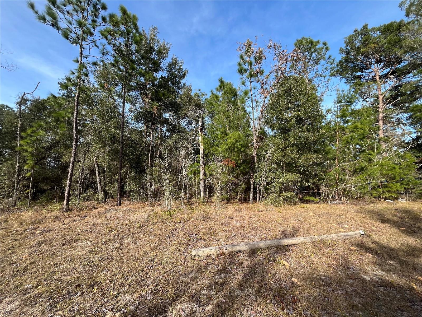 Image 8 of 10 For 6168 Emory Avenue