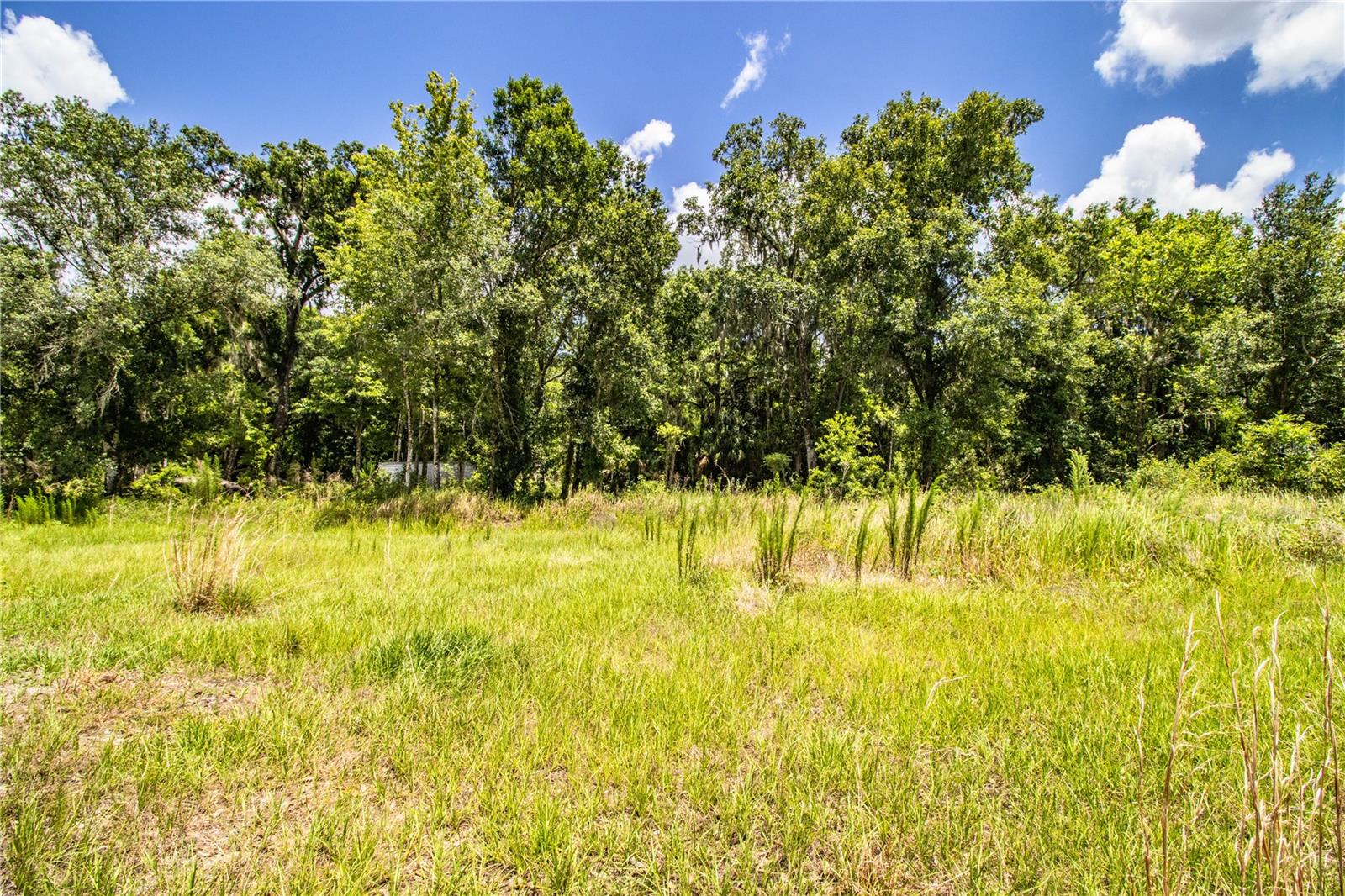 Image 6 of 6 For 7405 Dove Meadow Trail