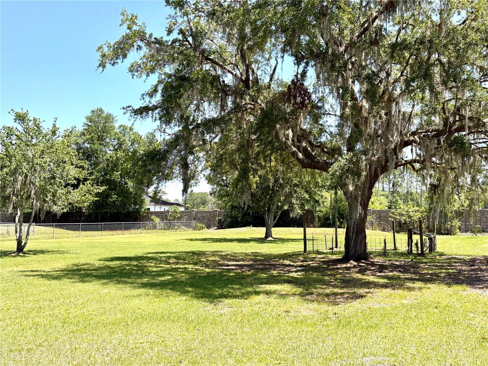 Image 21 of 24 For 9625 Moore Road