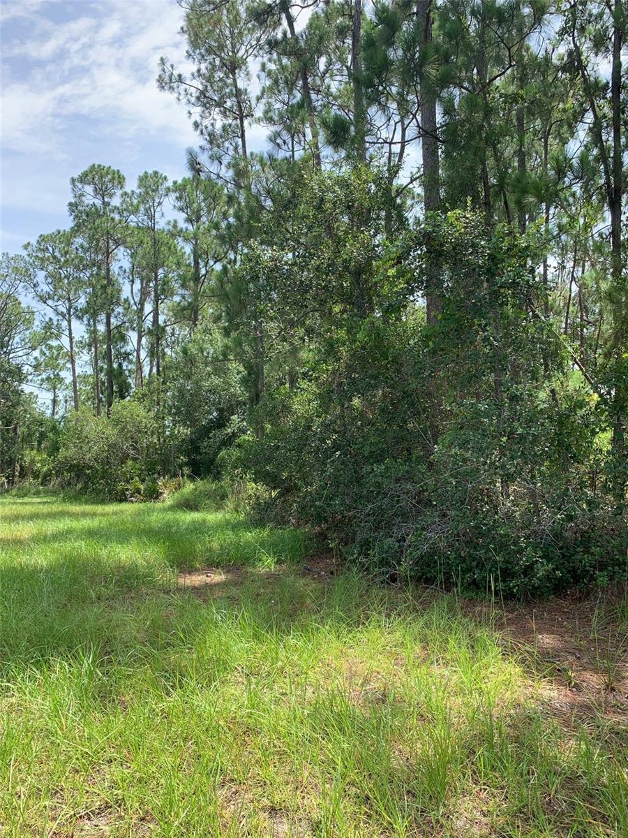 Image 6 of 11 For 1709 Stream Avenue