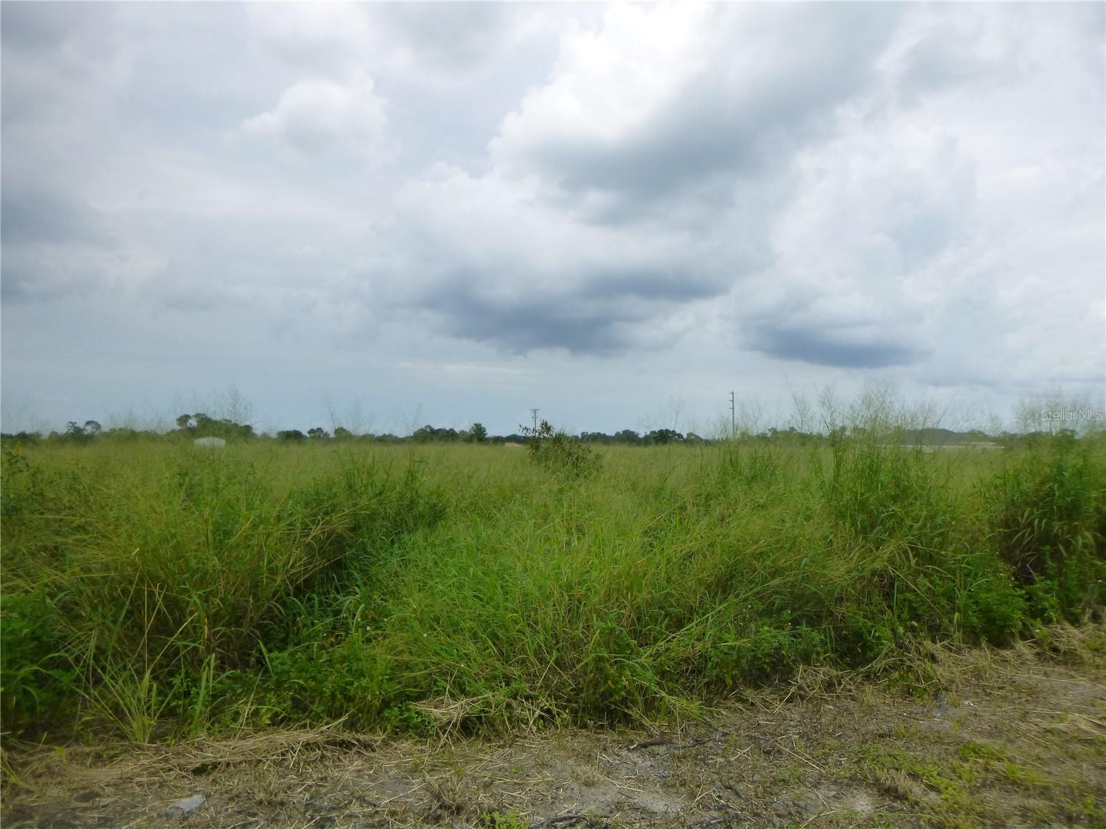 Details for Cheshire Road, BARTOW FL 33830, FL 33830