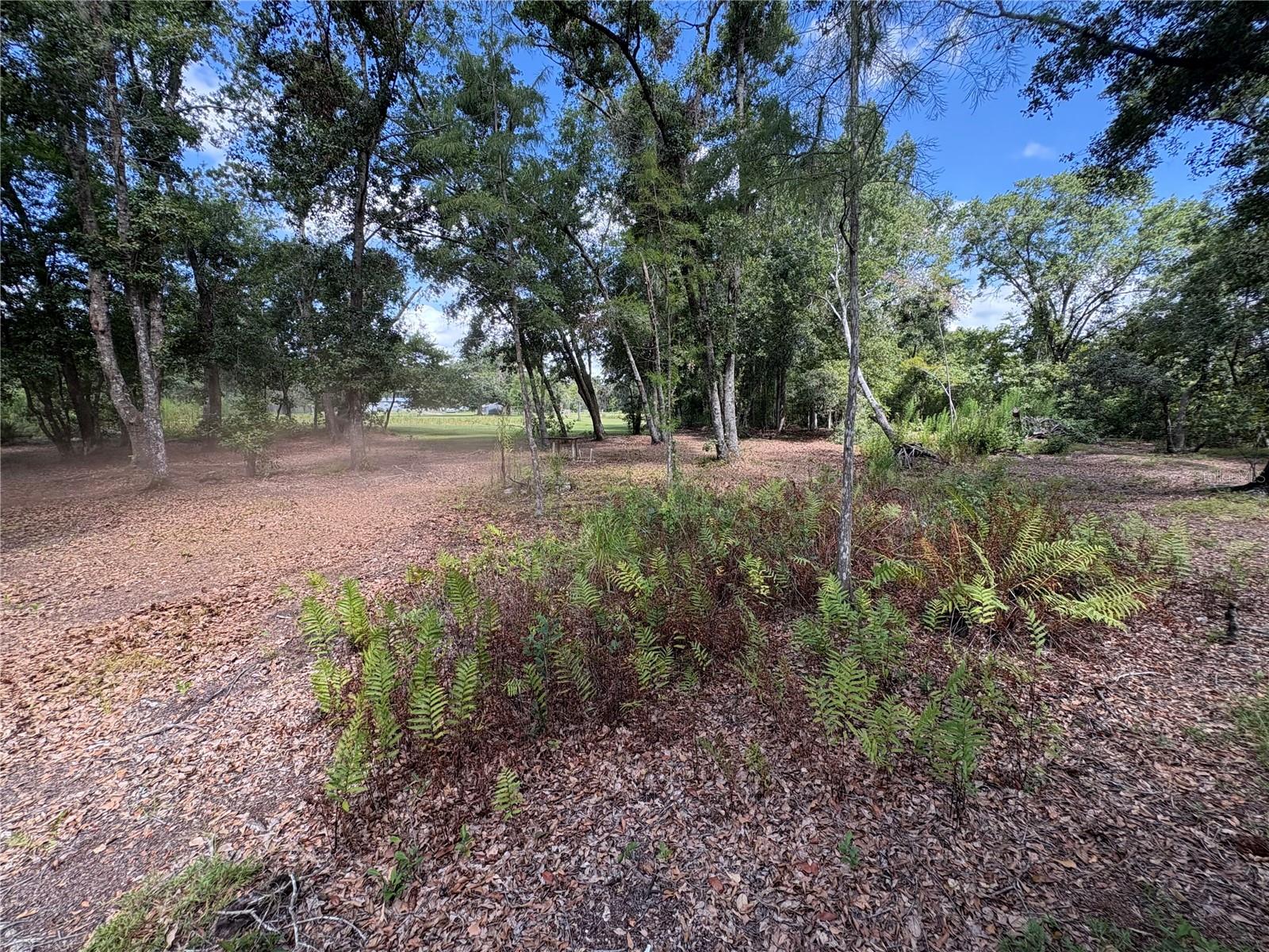Image 20 of 22 For 10905 Country View Drive