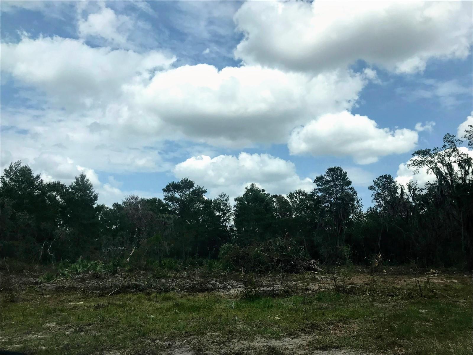 Image 4 of 6 For 0 80 Foot Road