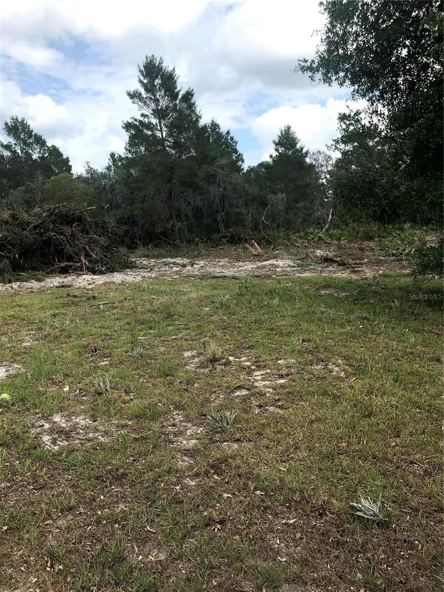 Image 5 of 6 For 0 80 Foot Road