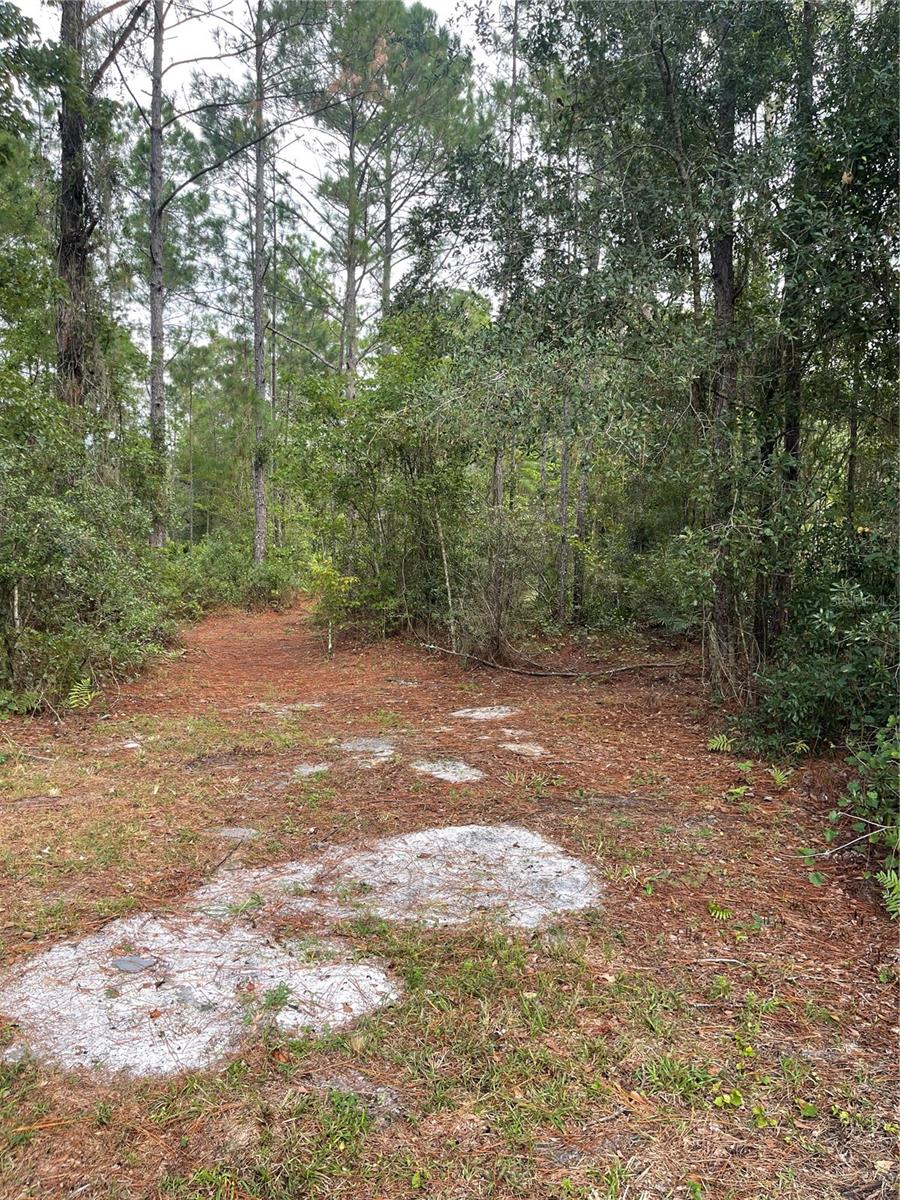 Image 17 of 21 For 2805 Forestland Drive