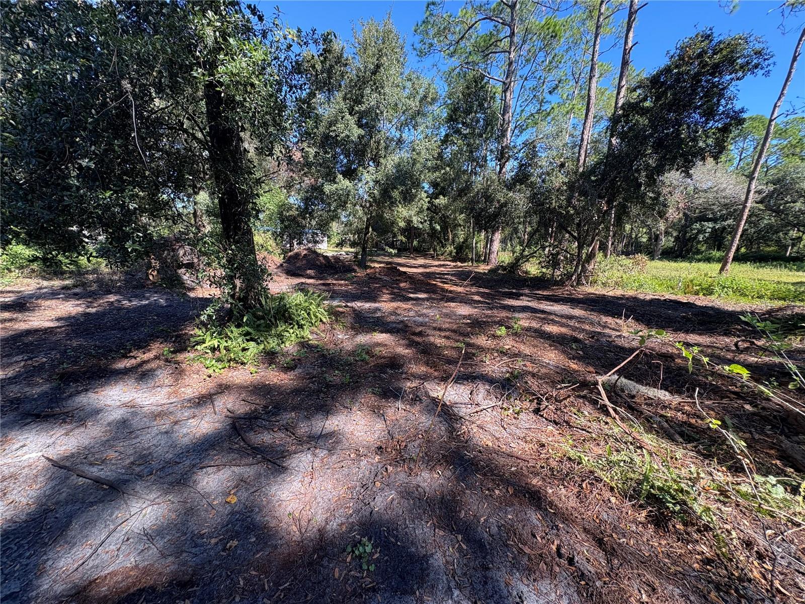 Image 7 of 23 For 8939 Beverly Hills