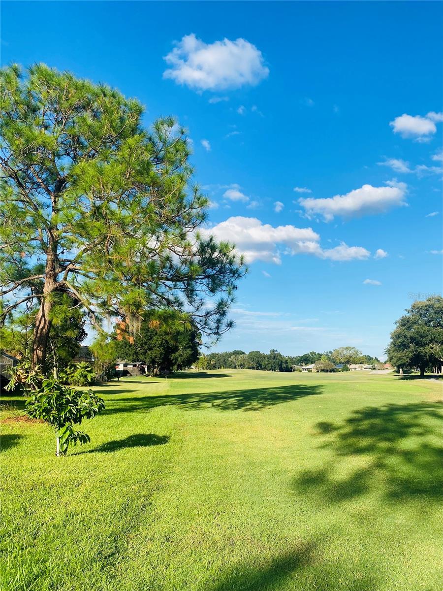 Image 36 of 49 For 533 Saint Andrews Road